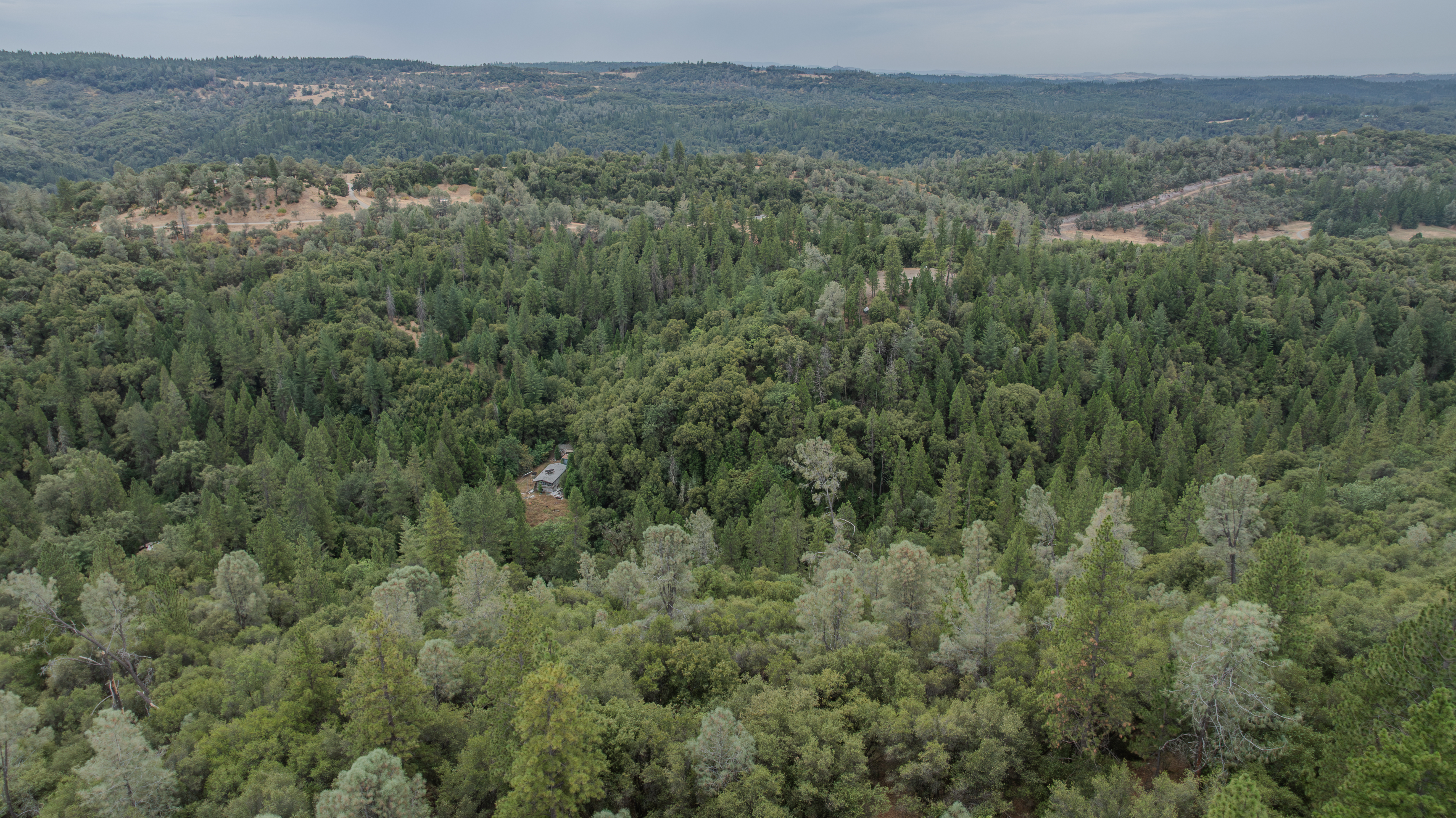  18101 Old River Road, Fiddletown, CA 95629 - 物件實景
