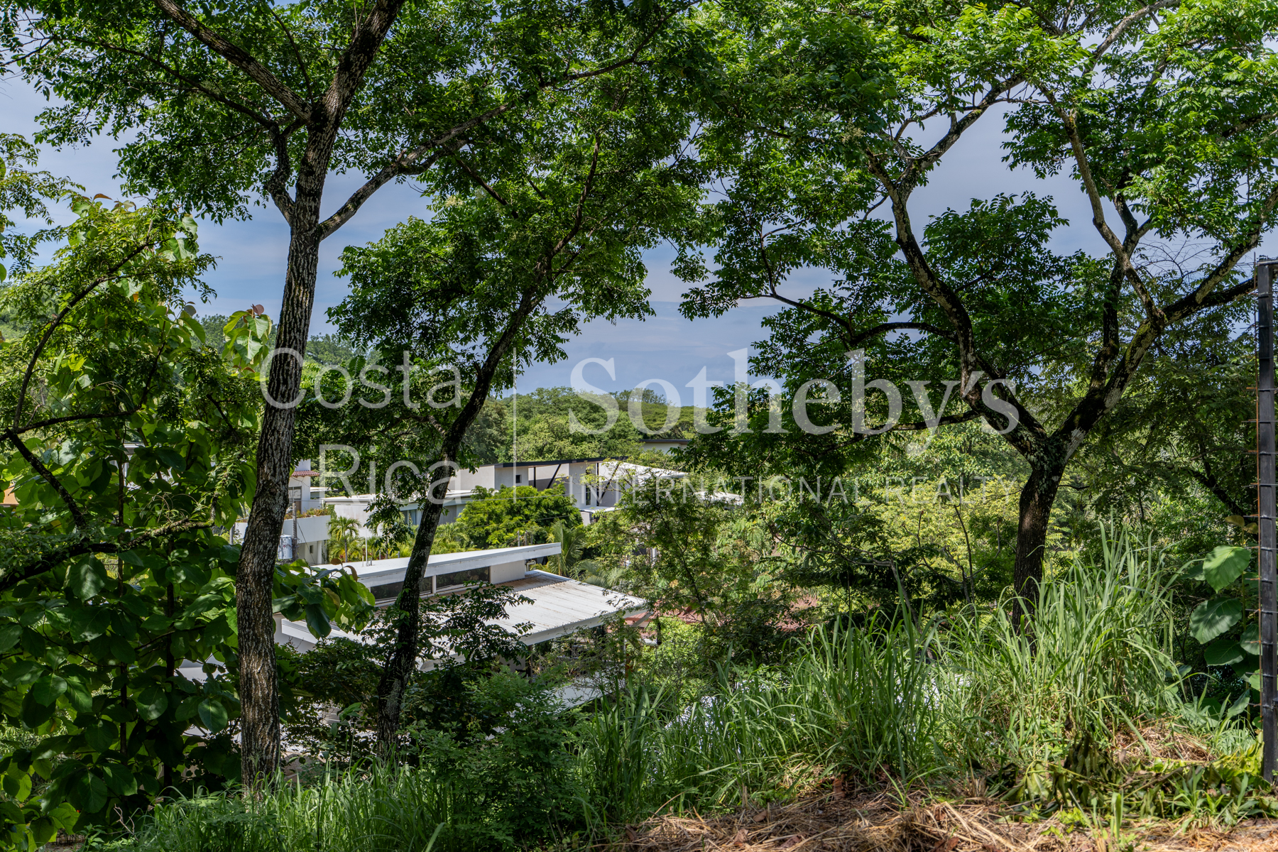  Playa Pelada Large Property - 物件實景