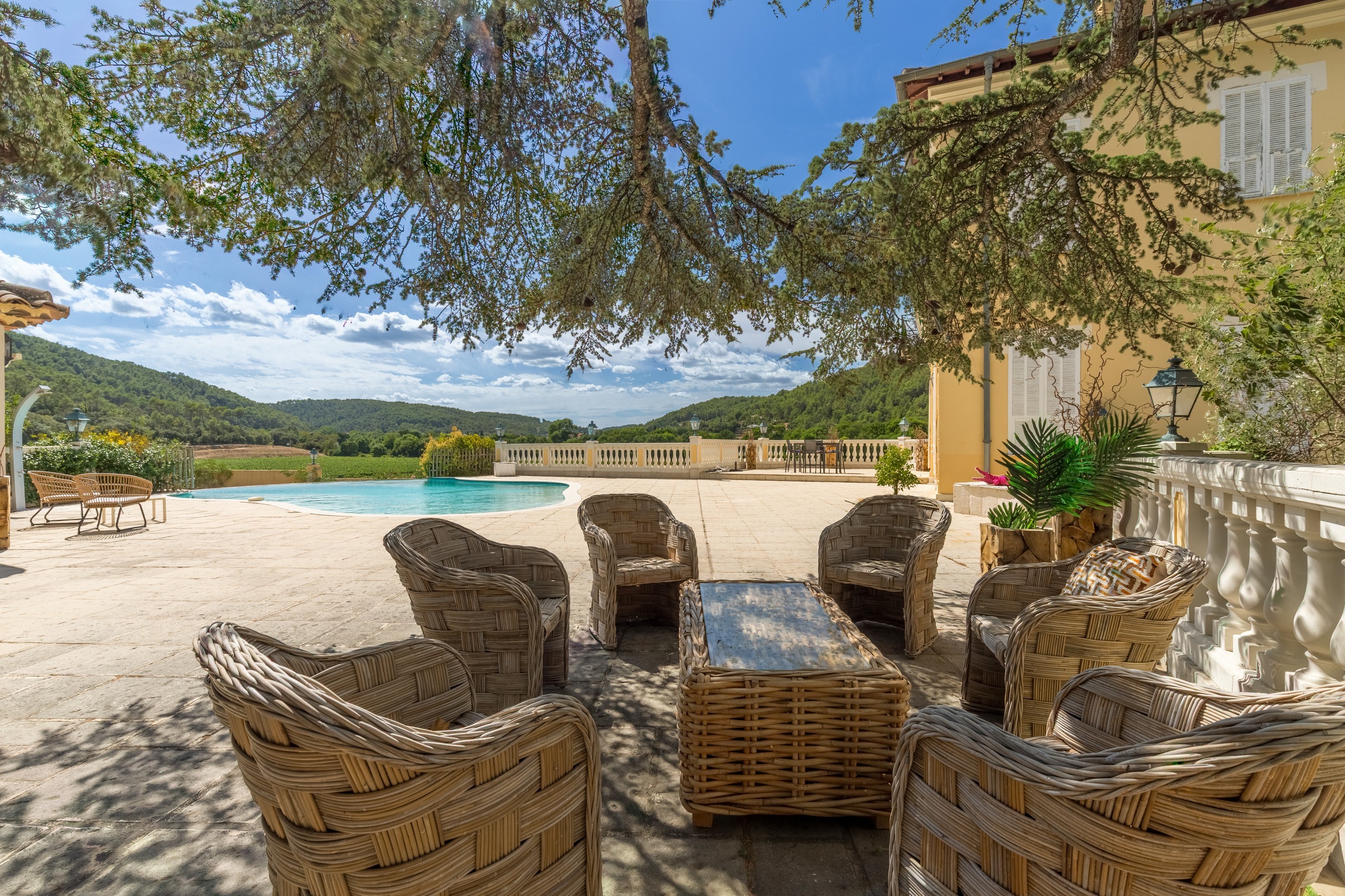  Rare Opportunity: 70-Hectare Wine Estate in Provence - 物件實景