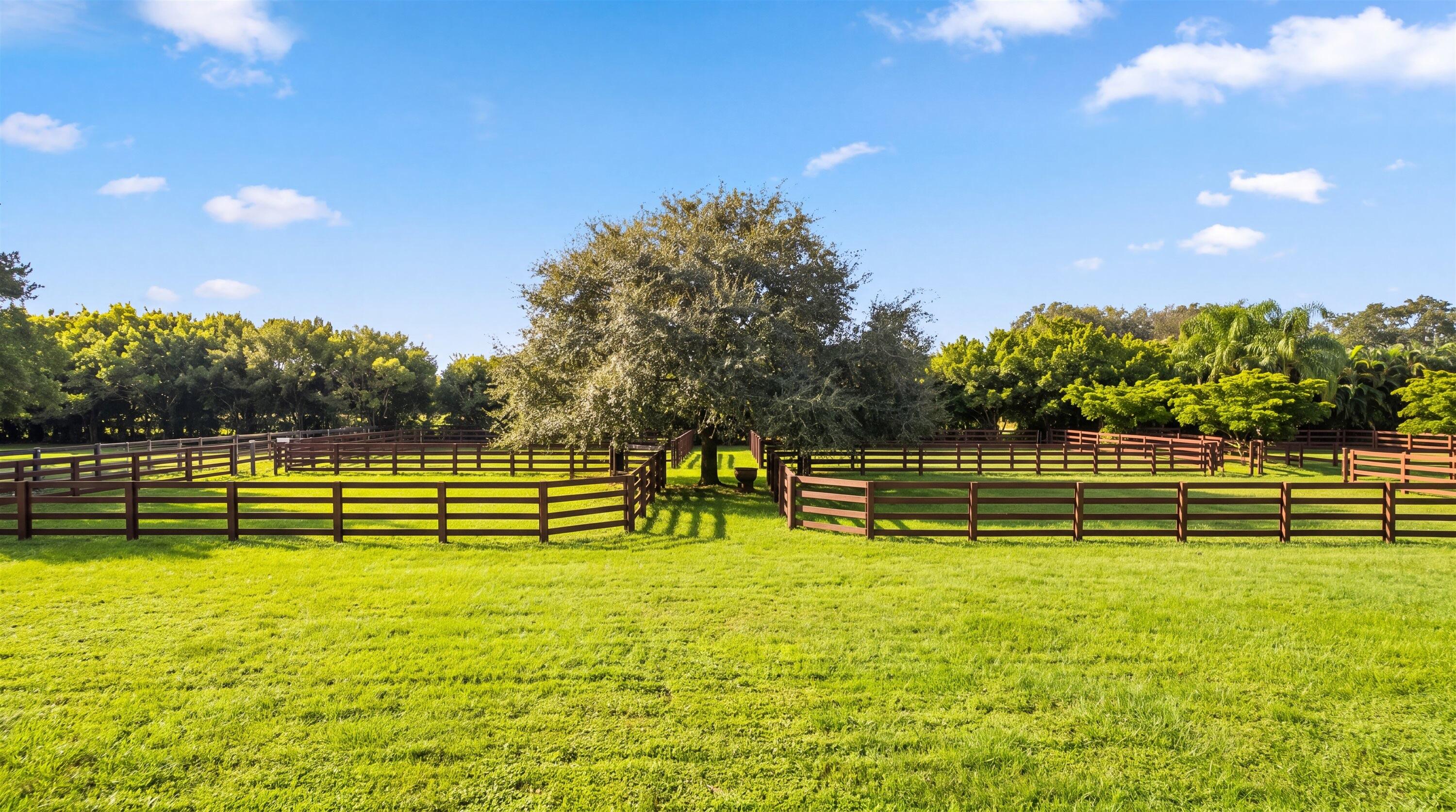  14883 Equestrian Way - 物件實景