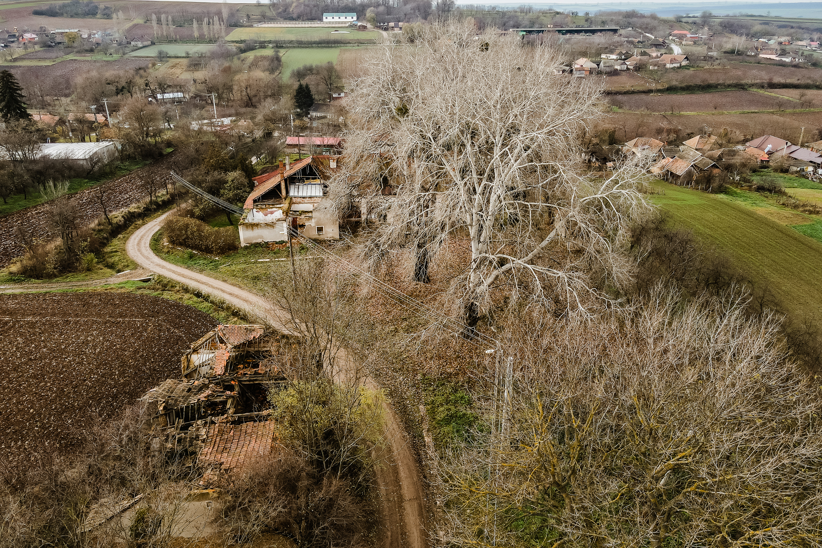  The Bónis Manor from Cubulcut - A Retreat of the Hungarian Crown - 物件實景