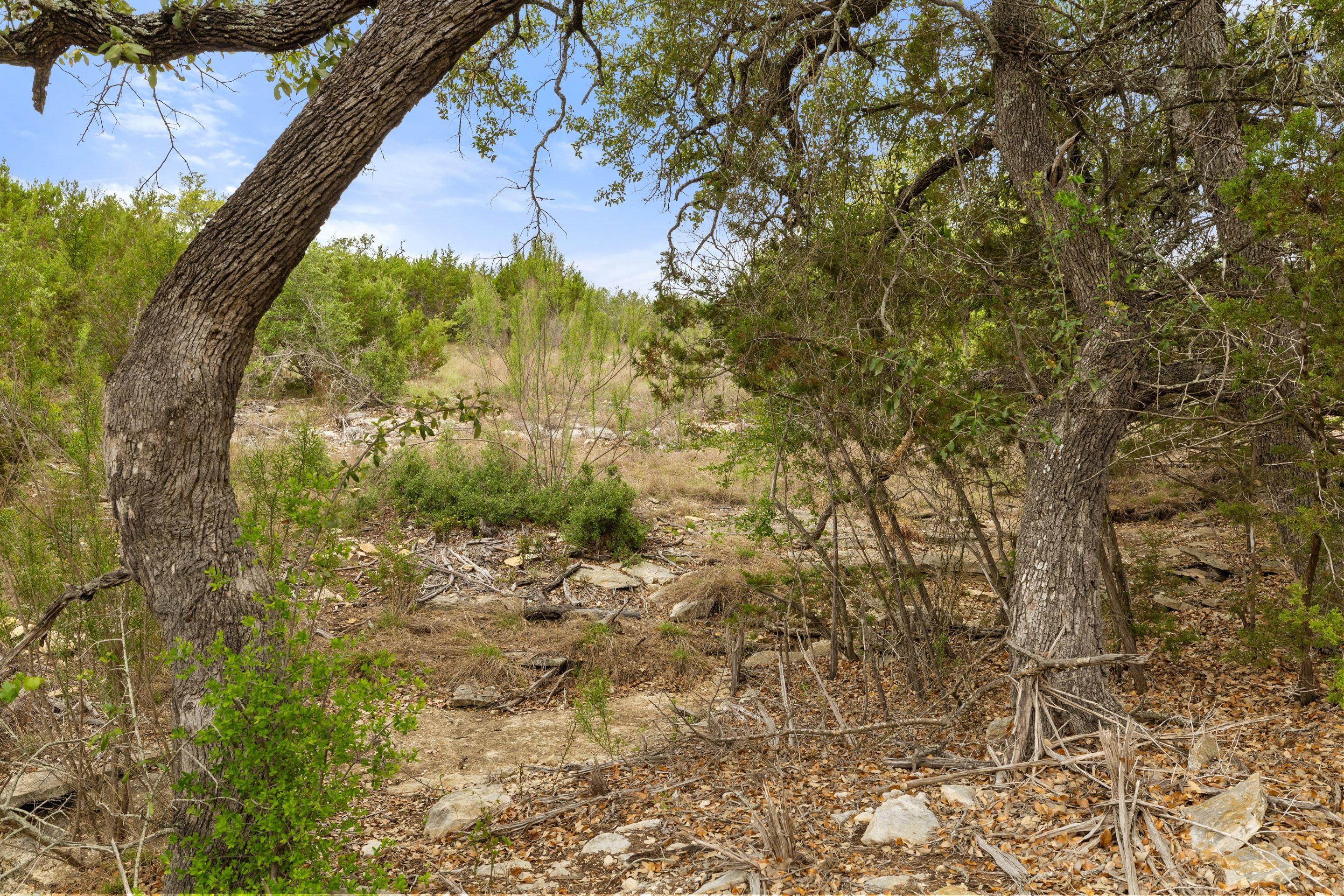  83 S Flat Rock Way - 5 Acre Lot in Gated Legacy Hills - 物件實景