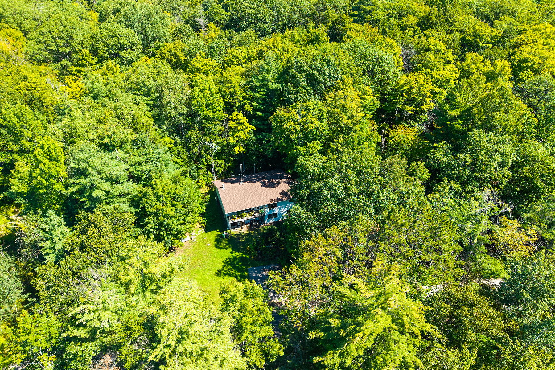  Lake Rosseau Legacy Estate - 物件實景