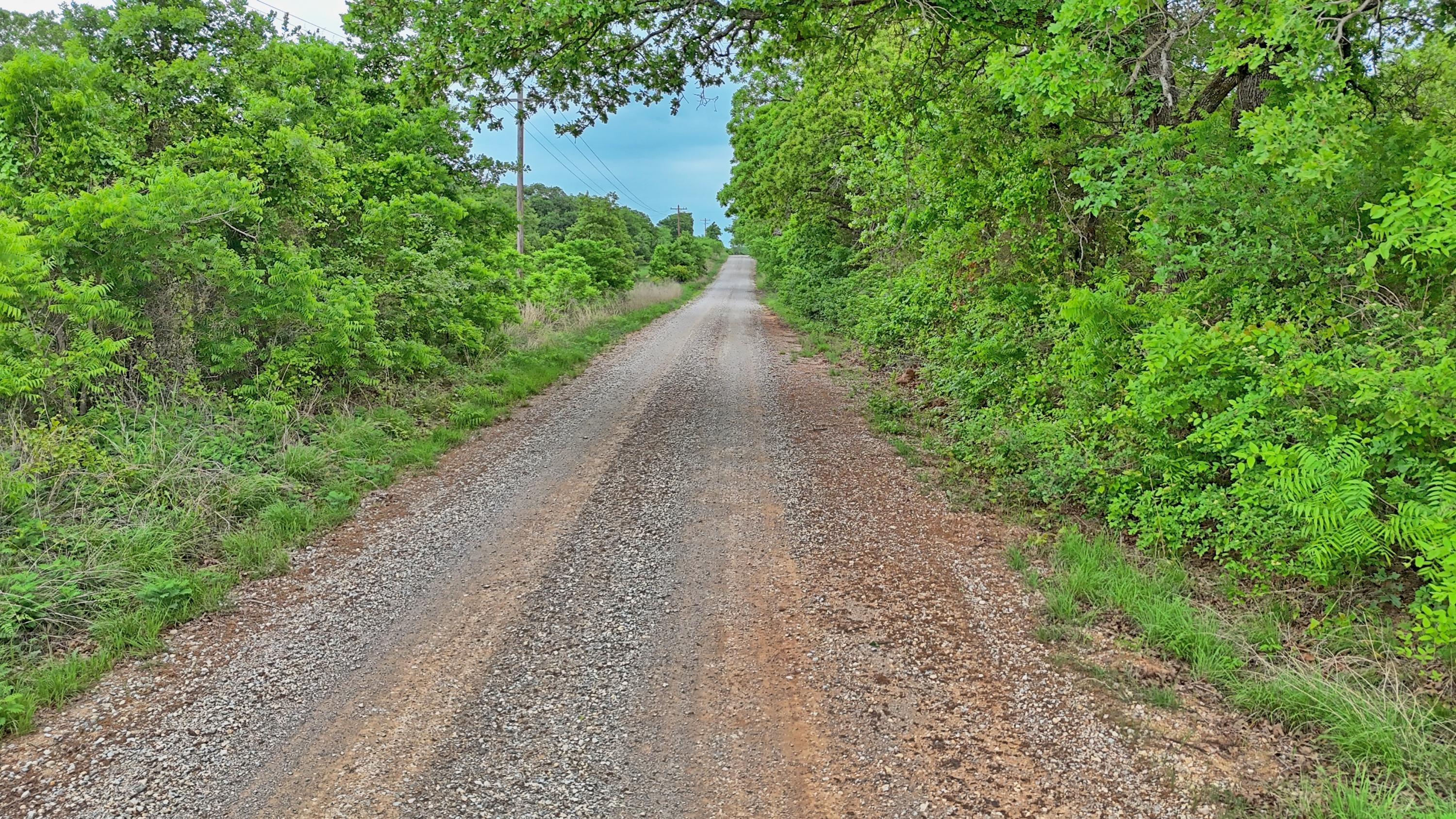  95 Acres in Clay County - 物件實景