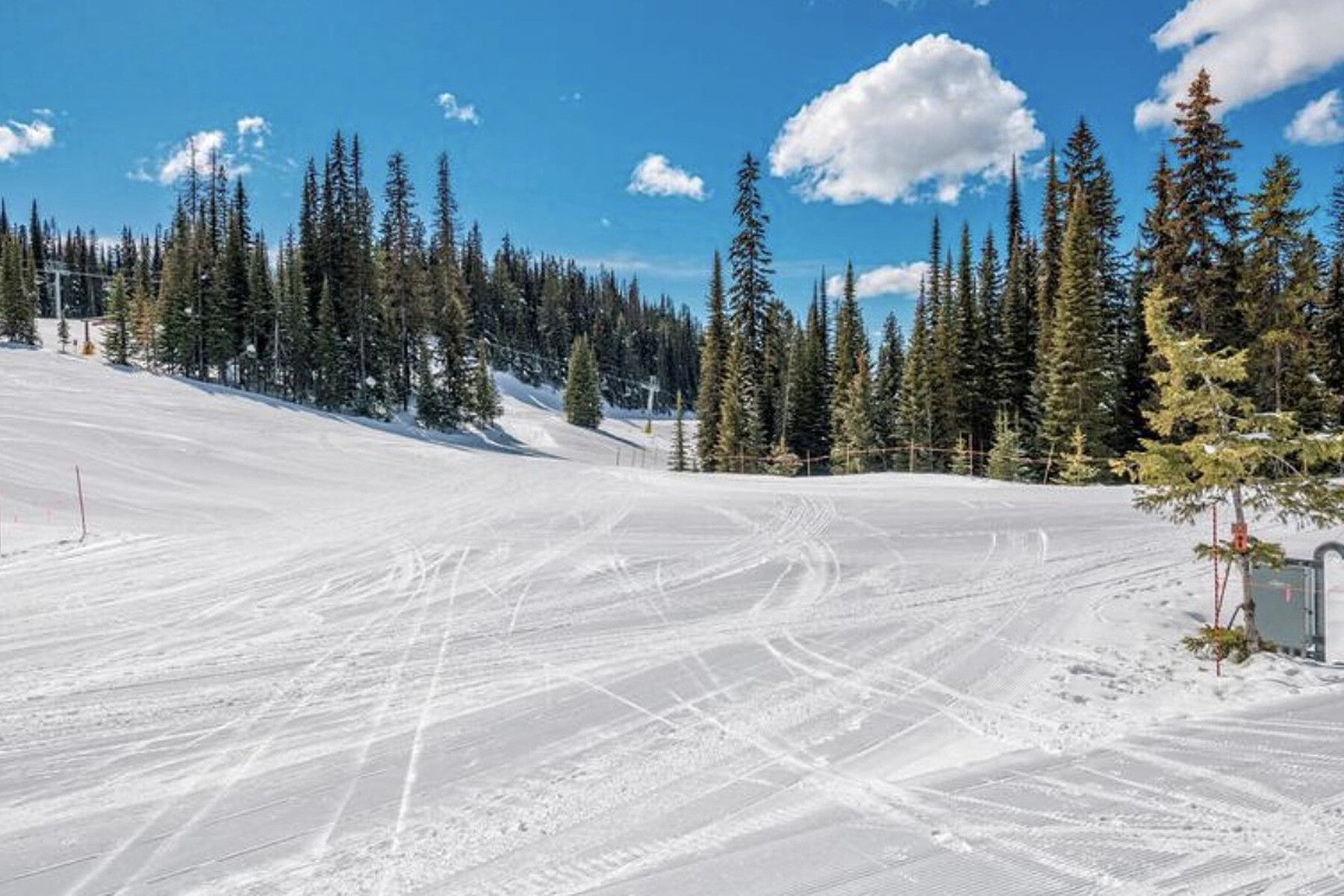  Snowbrush at Creekside - 物件實景