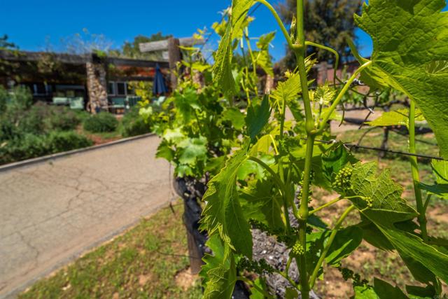 Ramona, California, 92065, United States, 3 Bedrooms Bedrooms, ,2 BathroomsBathrooms,Residential,For Sale,1999514