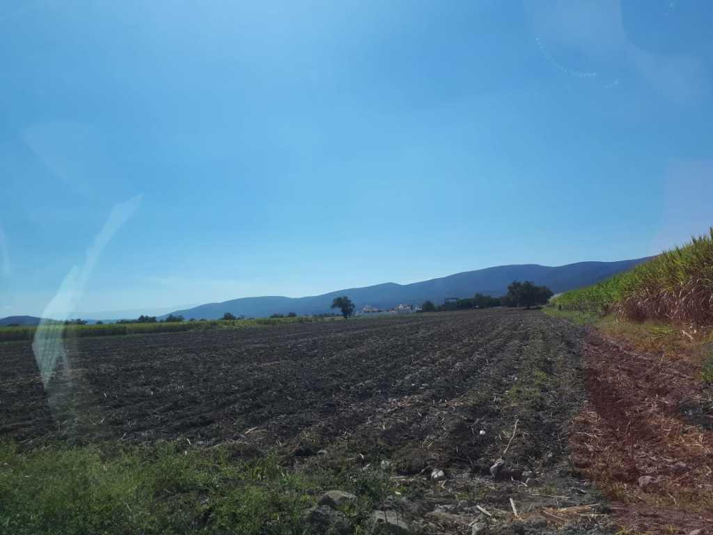 Campo Chamilpa, Yautepec, Morelos, 62739, Mexico, 1 Bedroom Bedrooms, ,Residential,For Sale,Campo Chamilpa,1443493
