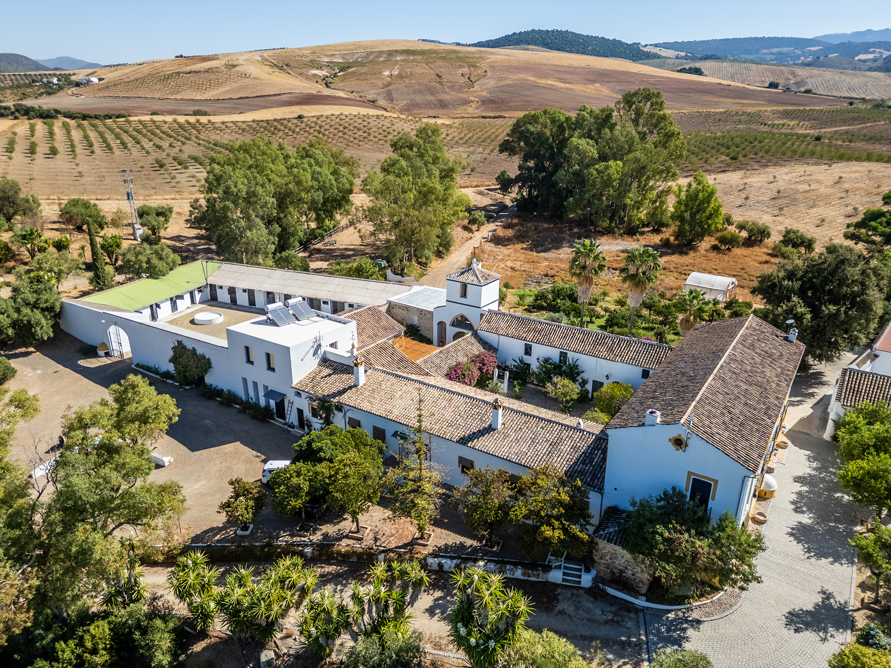  Country house in the province of Cádiz - 物件實景