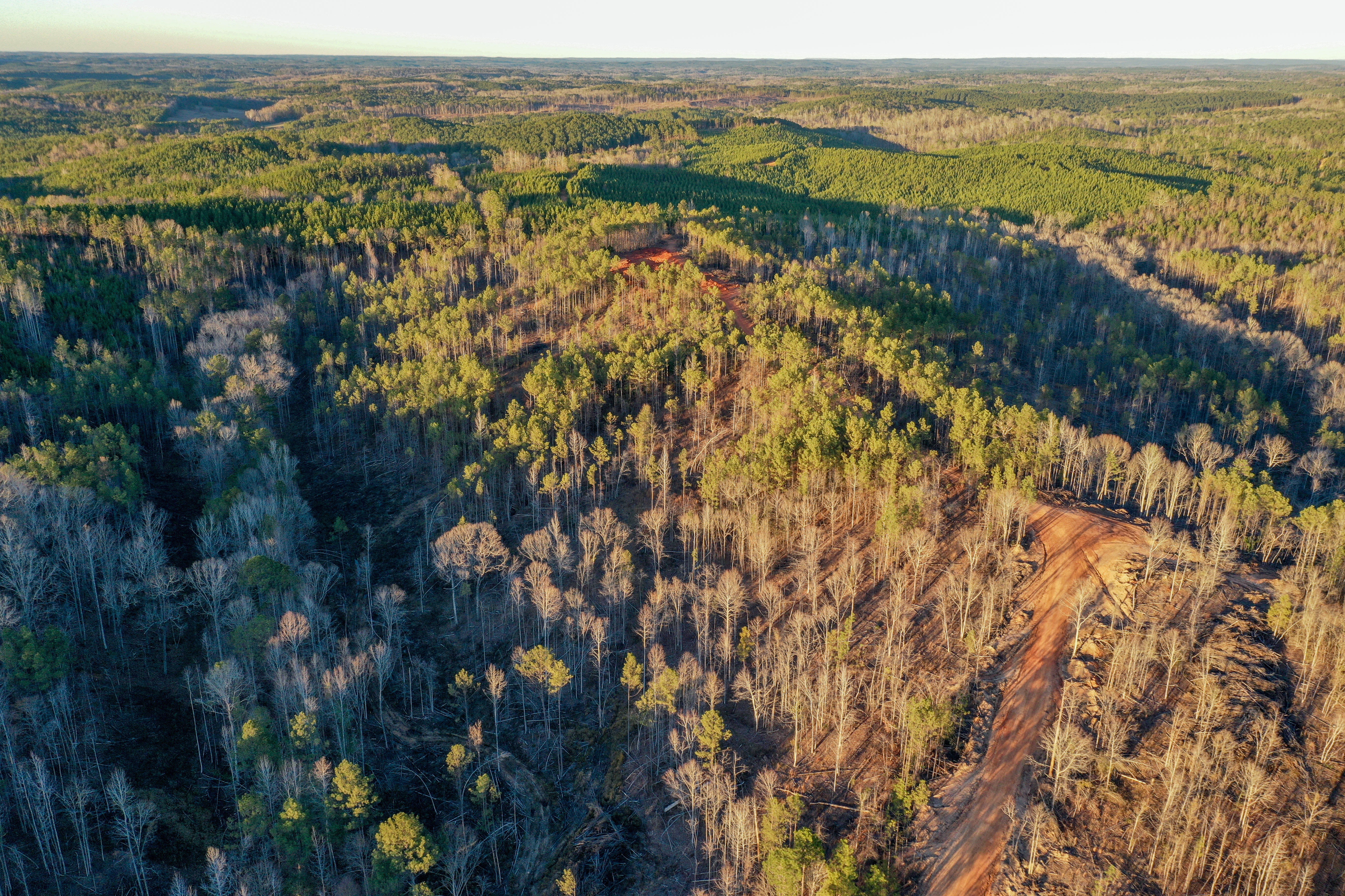 Centreville, Alabama, 35042, United States, ,Land,For Sale,2010430
