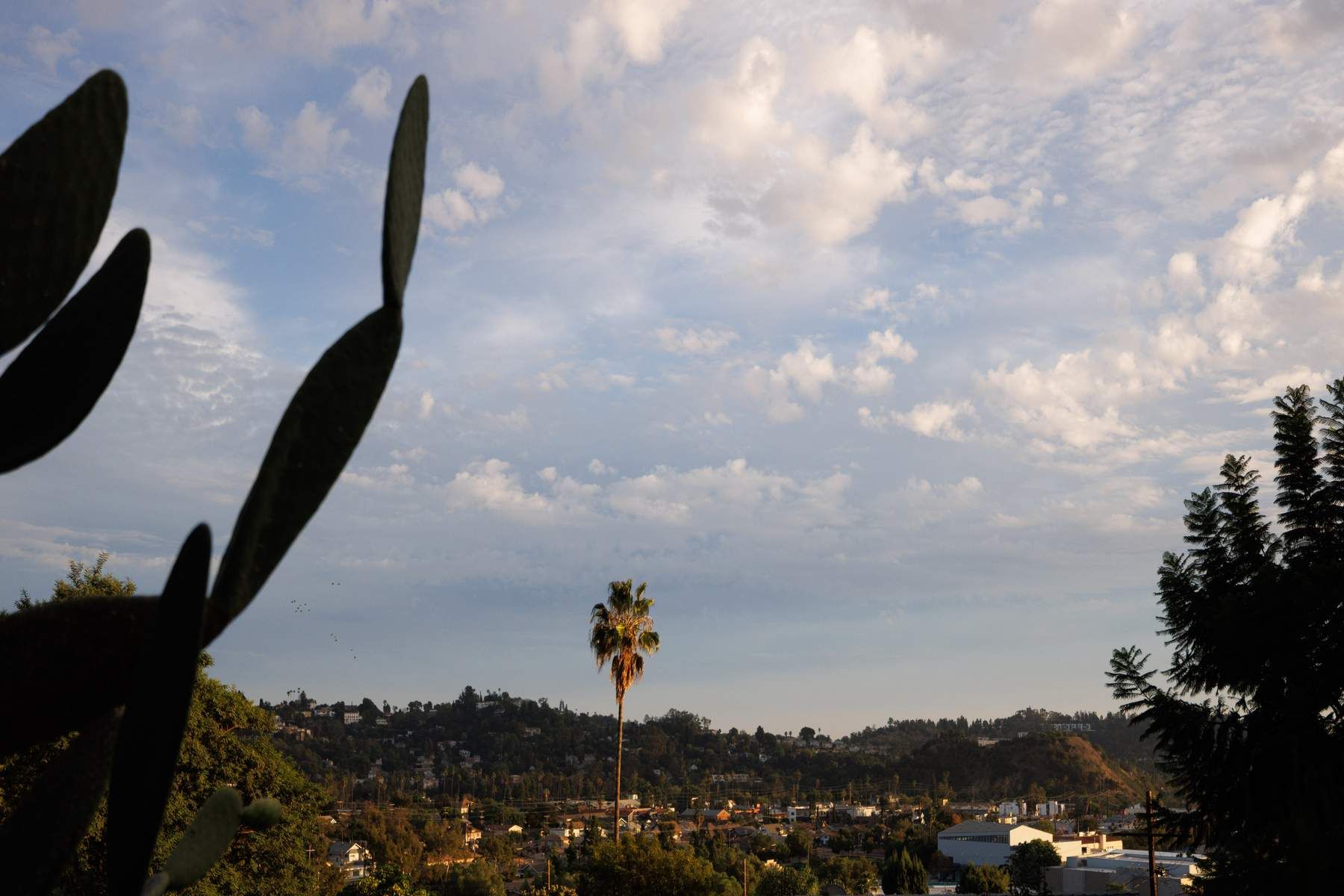  6205 Vidette Street - 物件實景