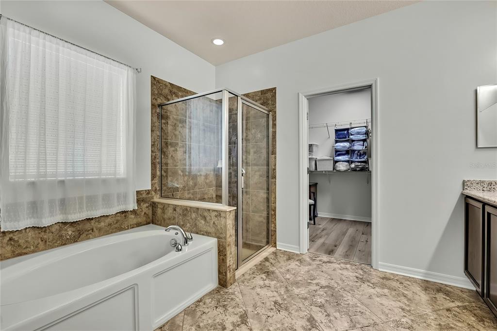 Wesley Chapel, Florida, 33543, United States, 4 Bedrooms Bedrooms, ,2 BathroomsBathrooms,Residential,For Sale,1979426