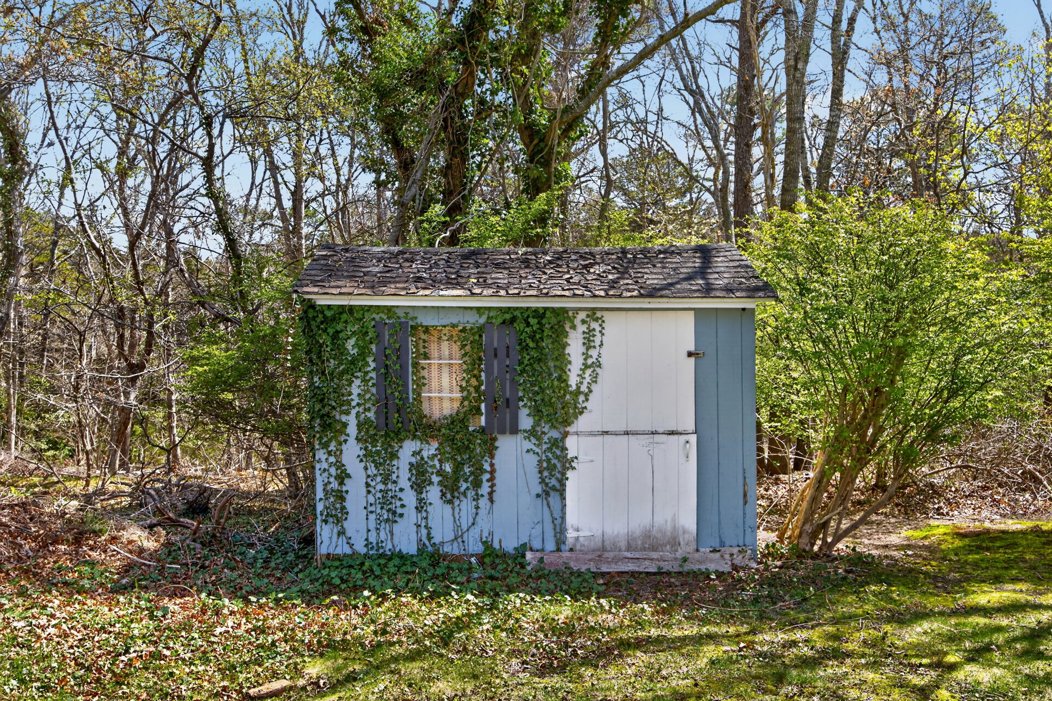  42 Diane Avenue, South Yarmouth, MA, 02664 - 物件實景