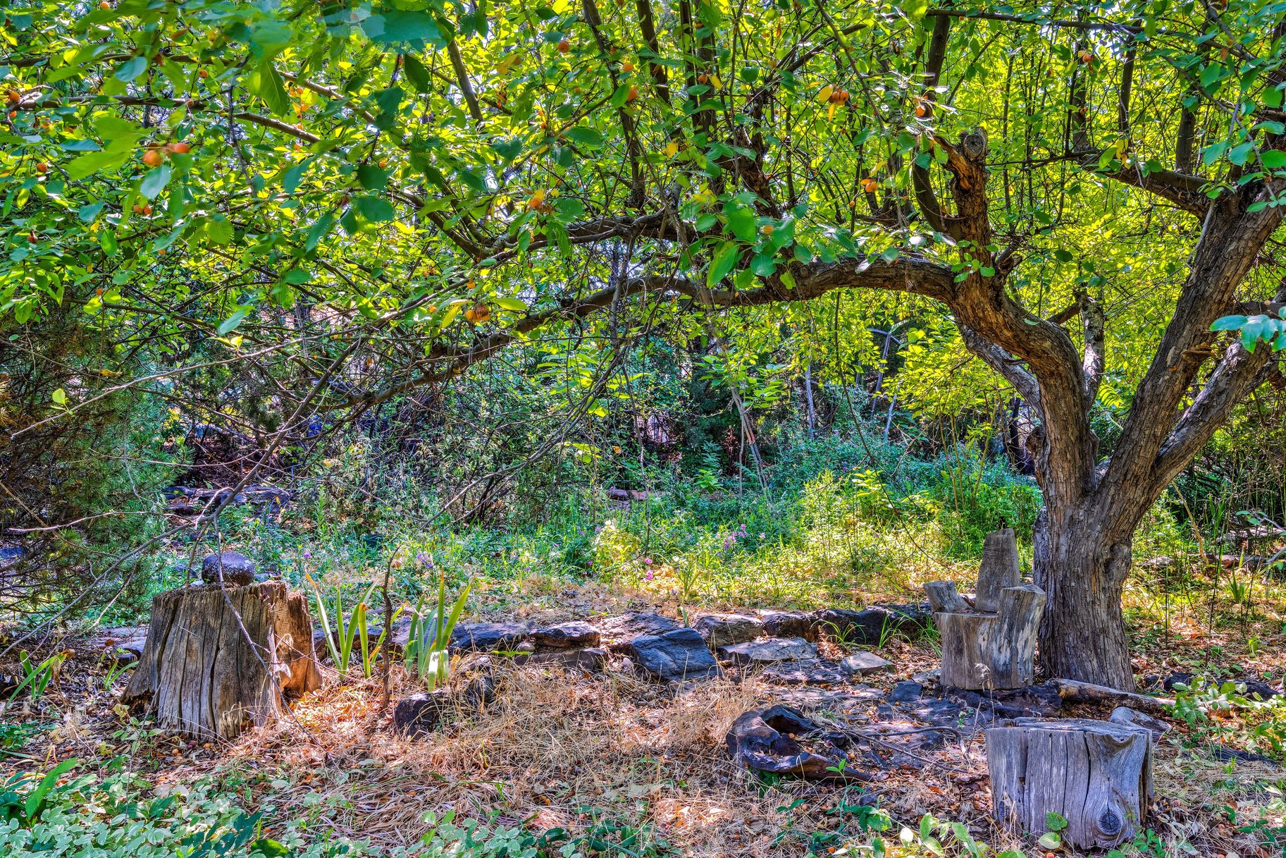  Great Location, Private Backyard & Plenty of Potential - 物件實景