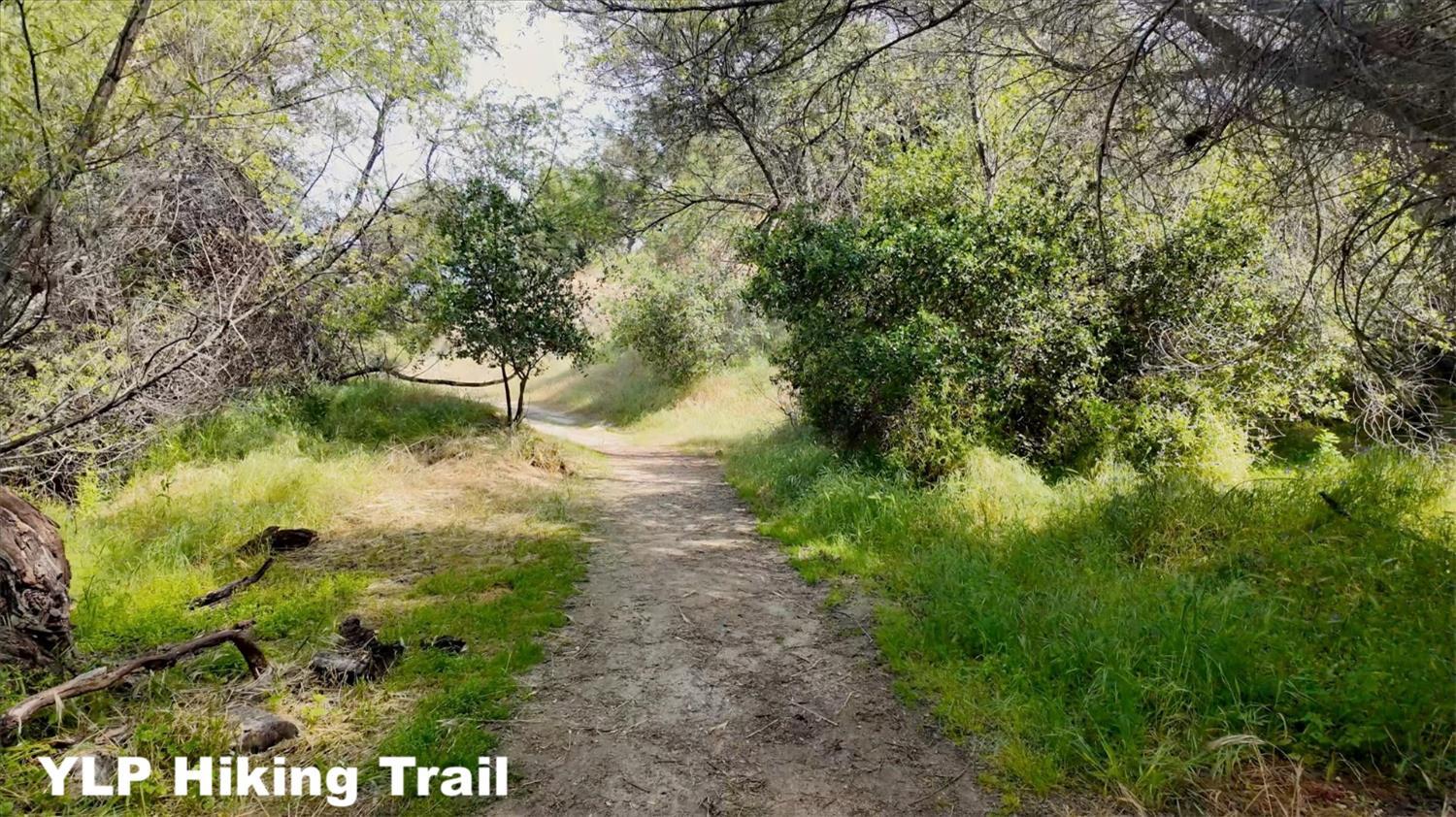 Coarsegold, California, 93614, United States, 4 Bedrooms Bedrooms, ,3 BathroomsBathrooms,Residential,For Sale,1981394