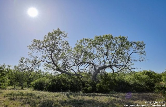Beeville, Texas, 78102, United States, ,Land,For Sale,1988333
