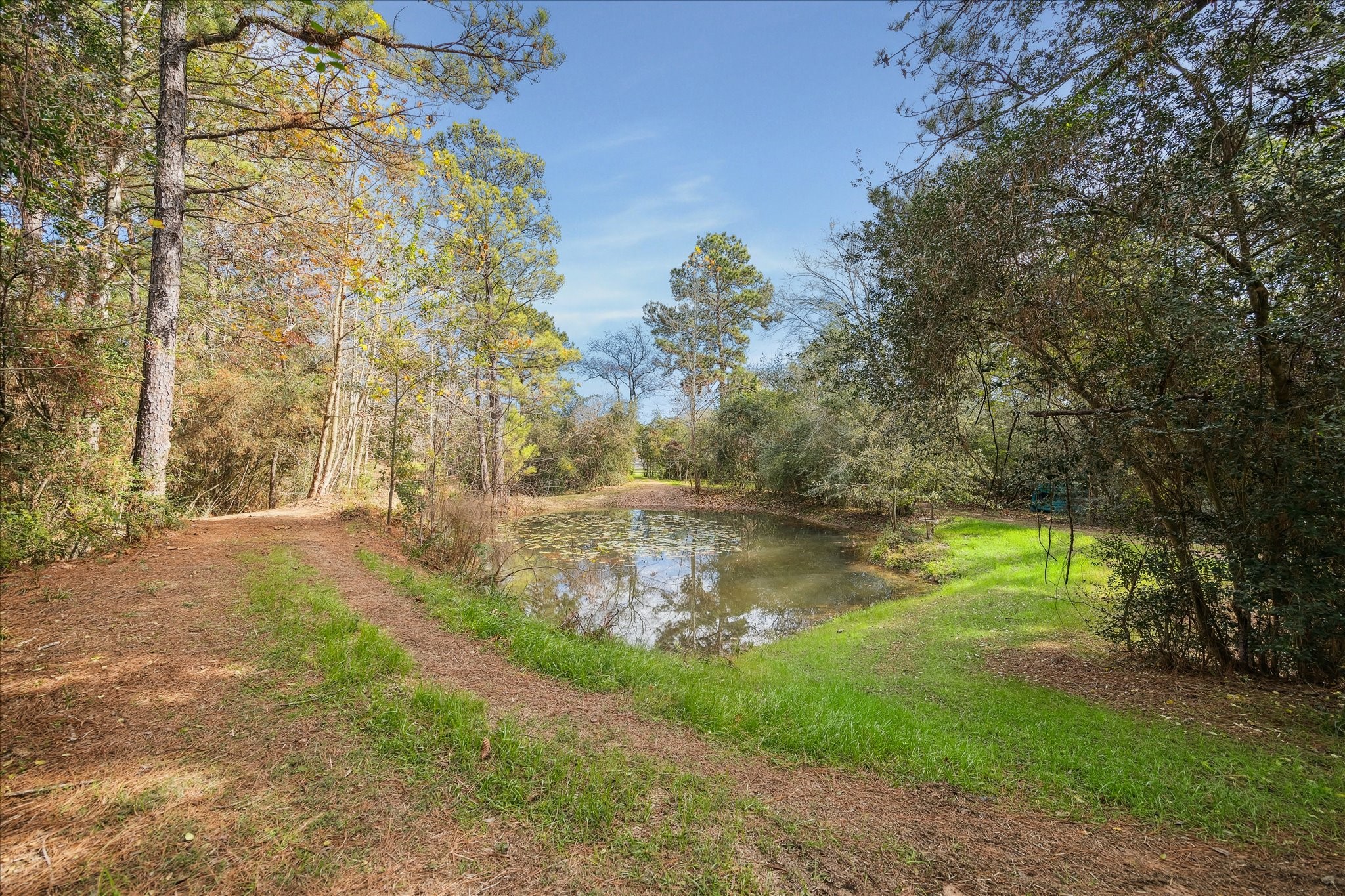  11 Willowcreek Ranch Road - 物件實景