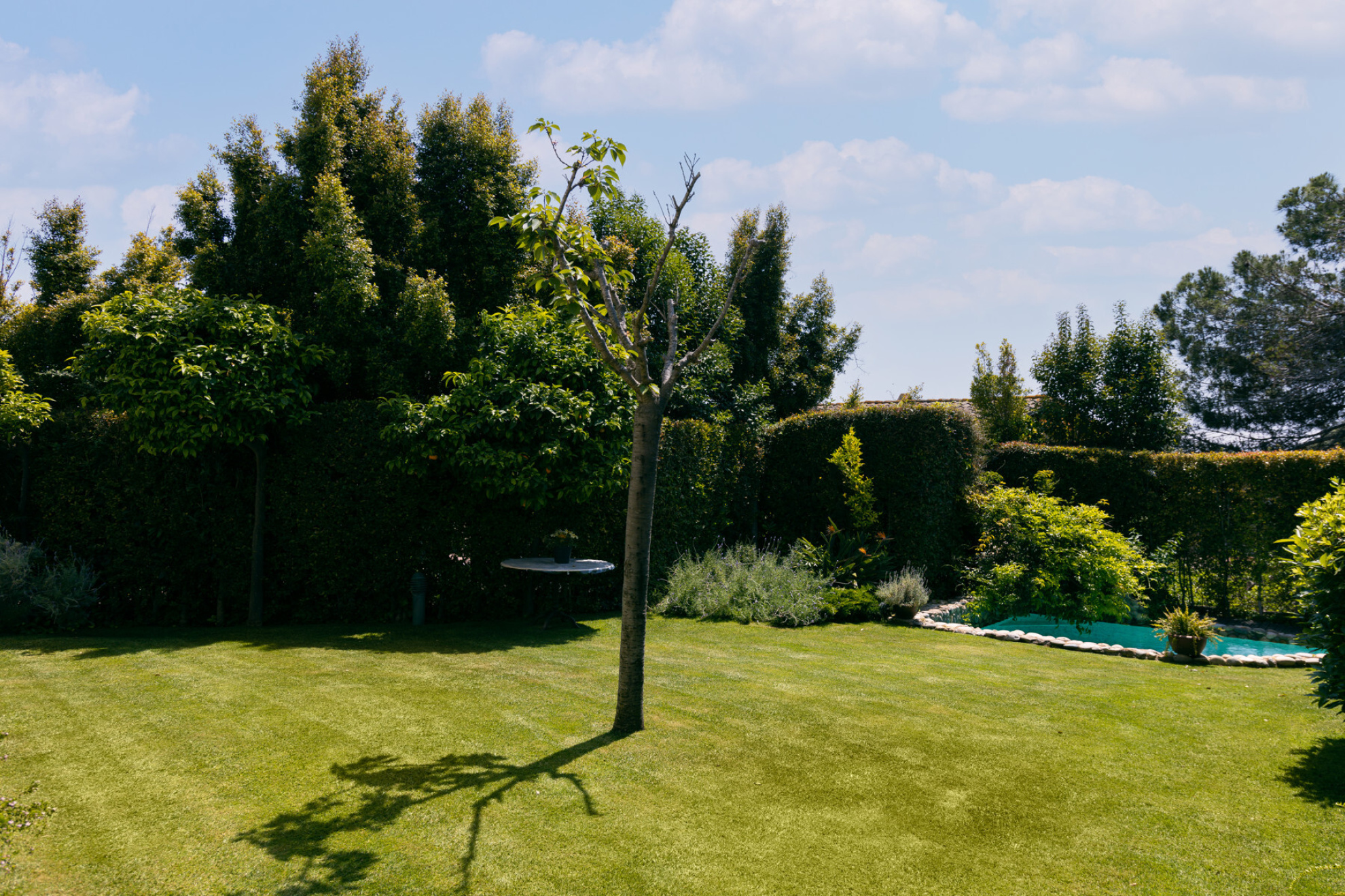  Centrally located avant-garde villa. Privacy and elegance in Alella - Costa BCN - 物件實景