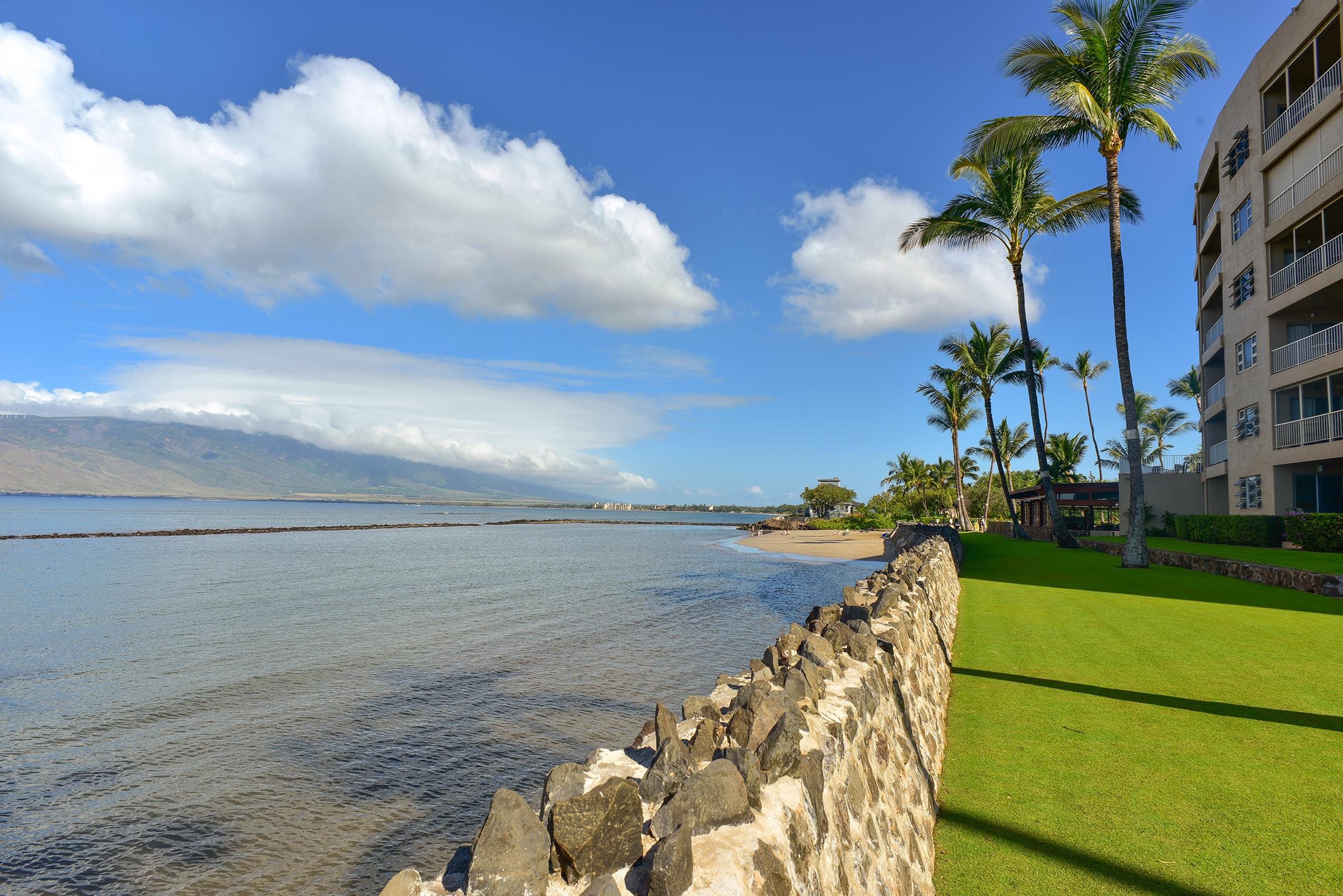 Kihei, Hawaii, 96753, United States, 1 Bedroom Bedrooms, ,1 BathroomBathrooms,Residential,For Sale,1998147