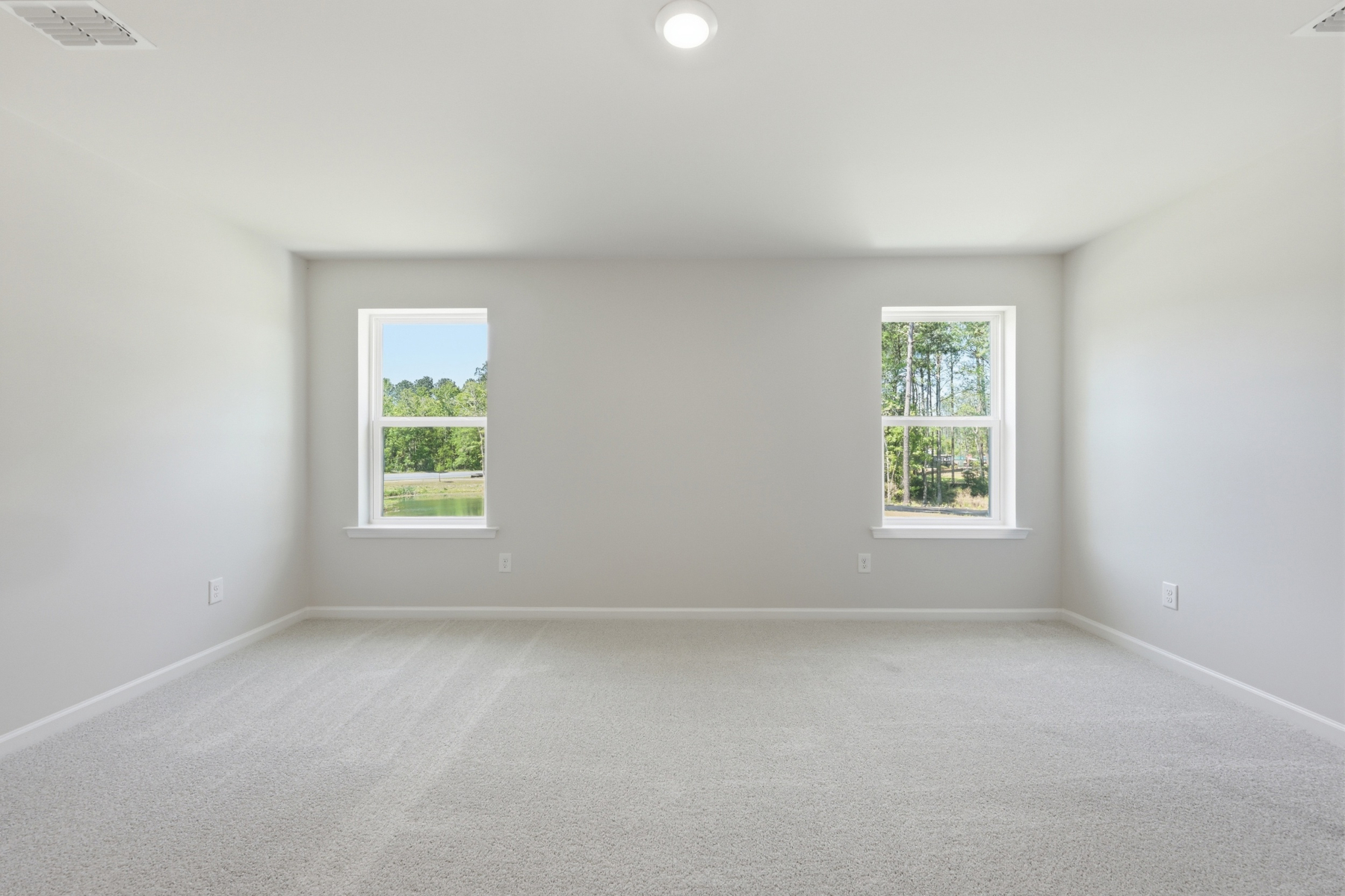  216 Twinleaf Court, Charleston - 物件實景