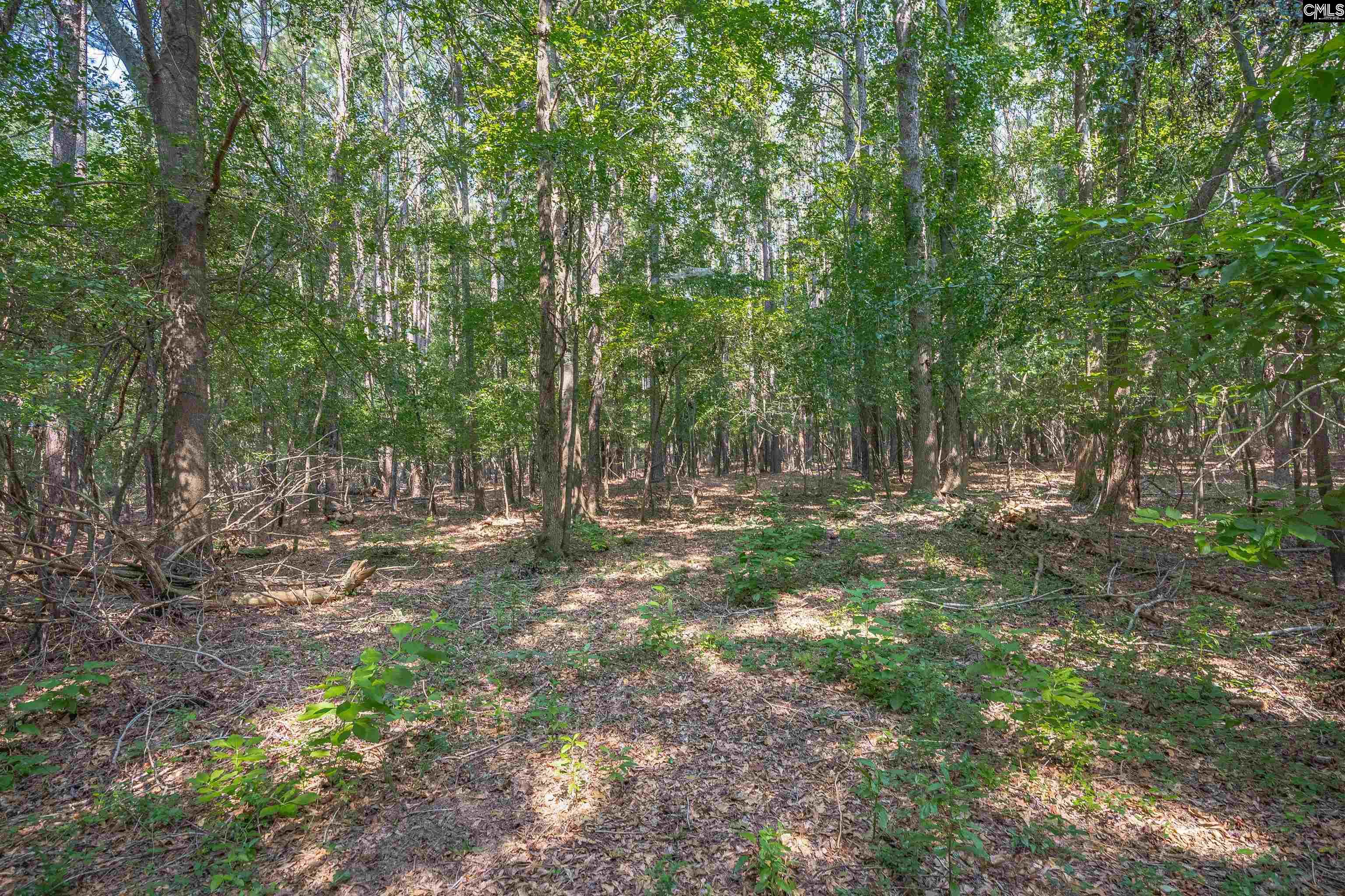 Newberry, South Carolina, 29108, United States, 3 Bedrooms Bedrooms, ,3 BathroomsBathrooms,Residential,For Sale,1987677