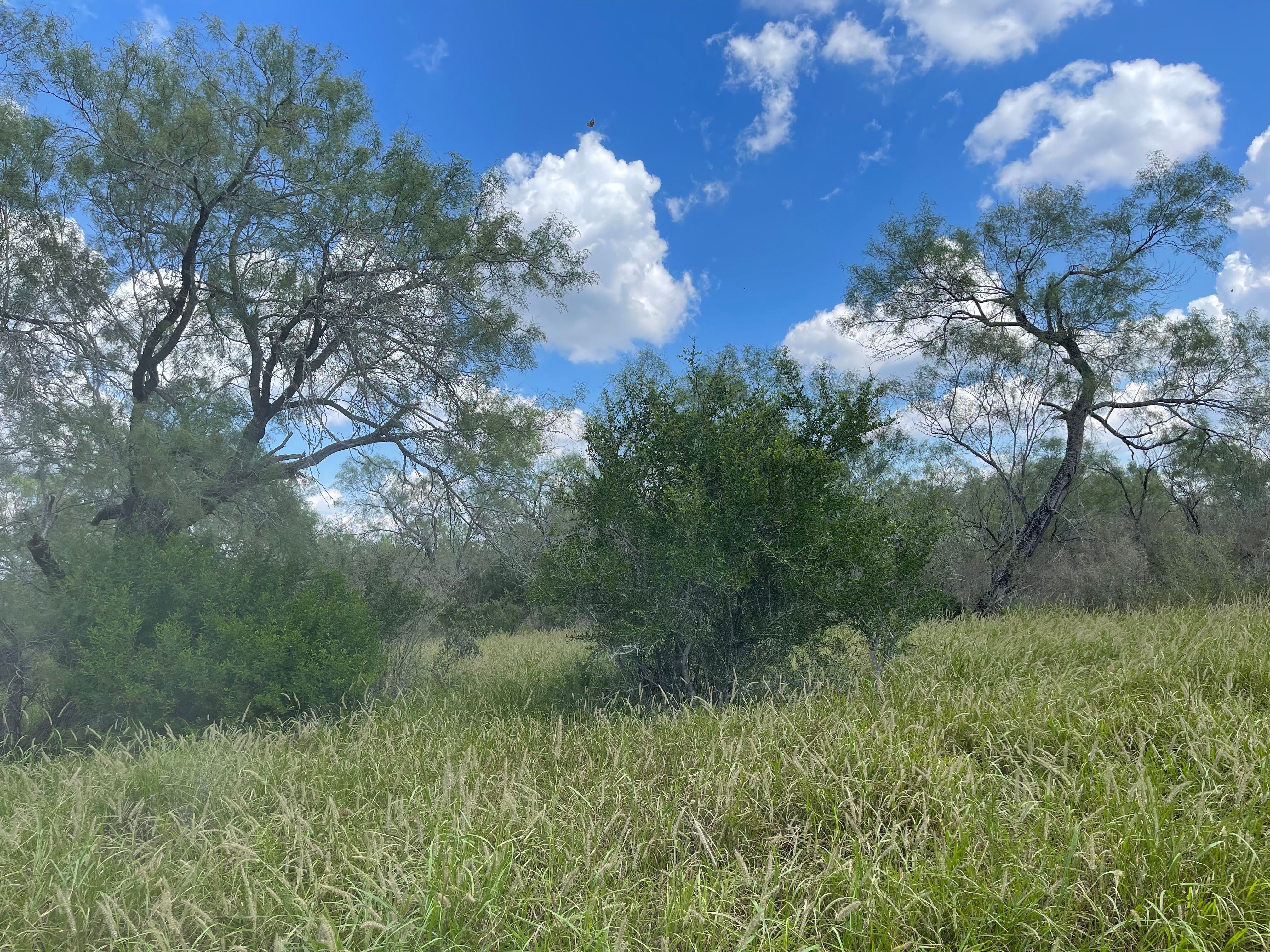  Historic El Tecomate Hunting Ranch - 物件實景