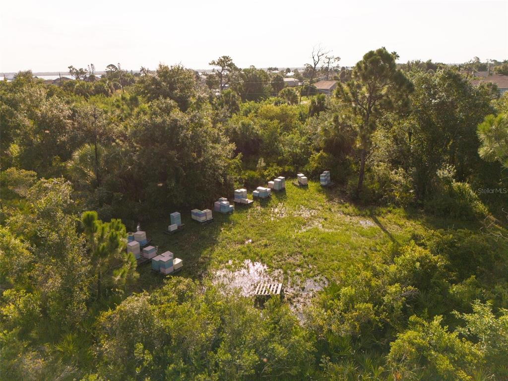 Port Charlotte, Florida, 33981, United States, ,Land,For Sale,1980063