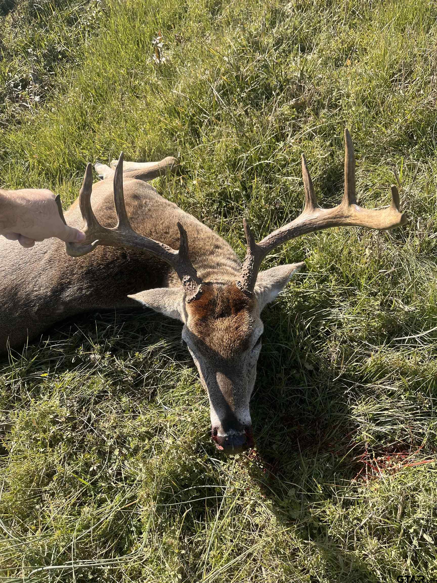 Dekalb, Texas, 75559, United States, ,Land,For Sale,1983481