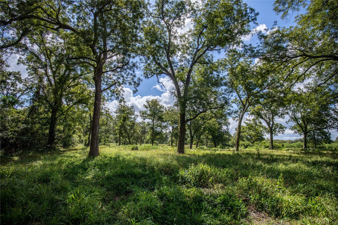 Cuero, Texas, 77954, United States, ,Residential,For Sale,1946988