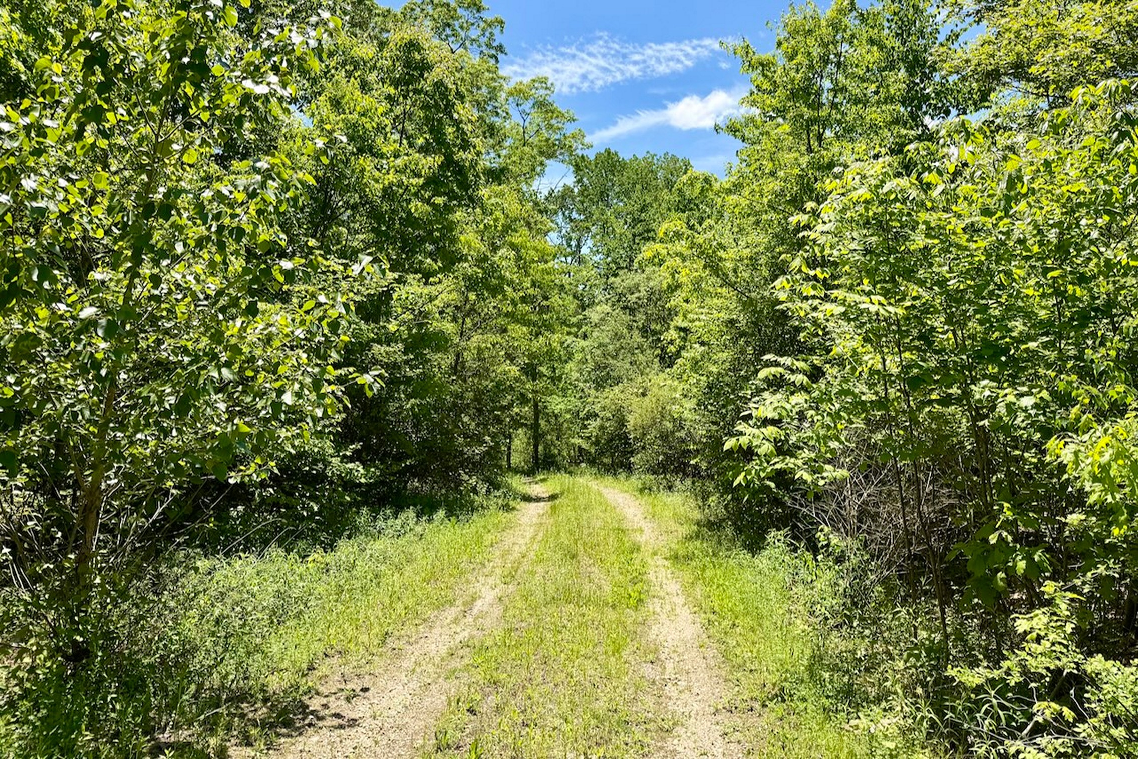  Swaller Hill Road - 物件實景