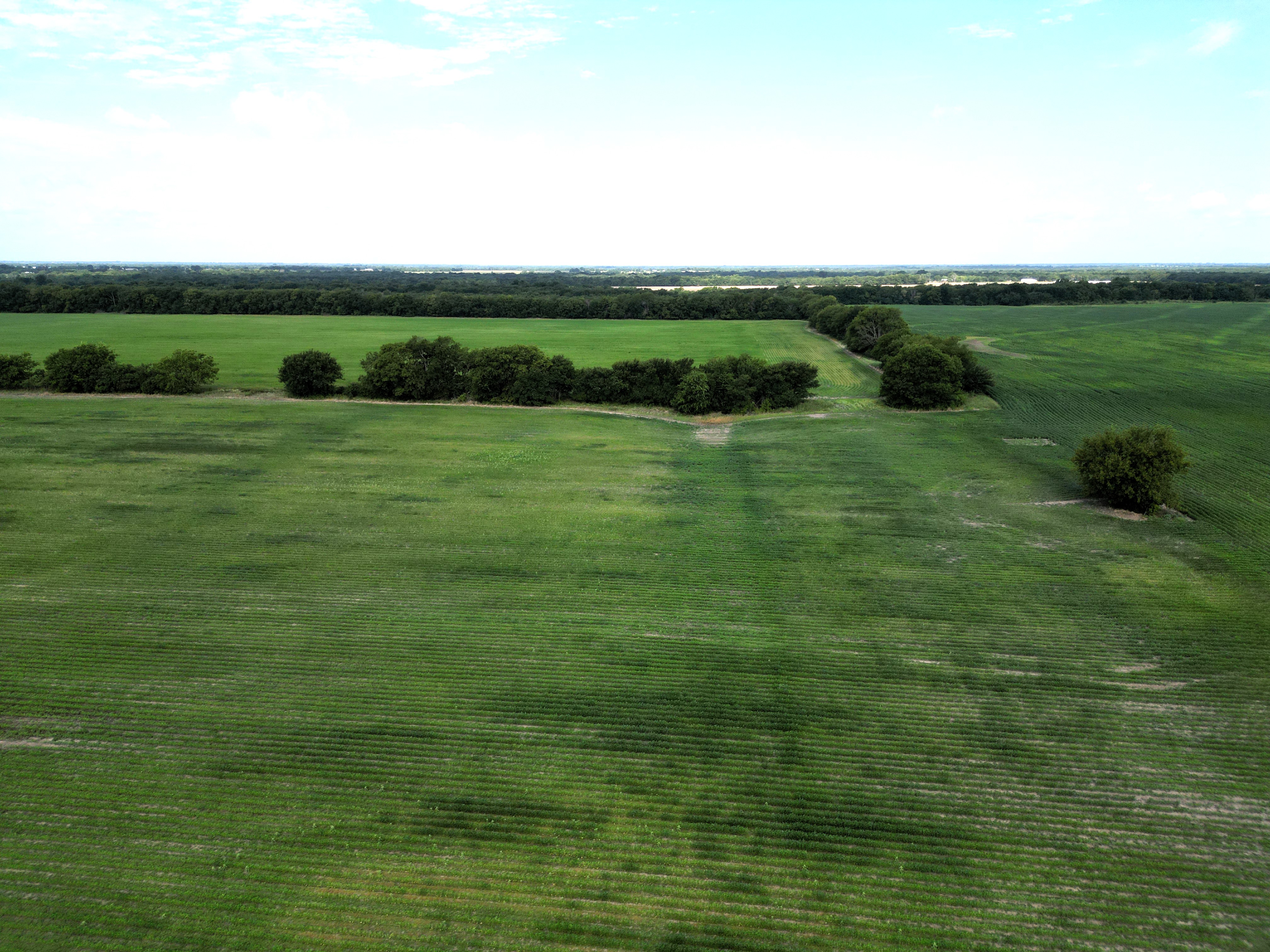 Commerce, Texas, 75428, United States, ,Residential,For Sale,1921218