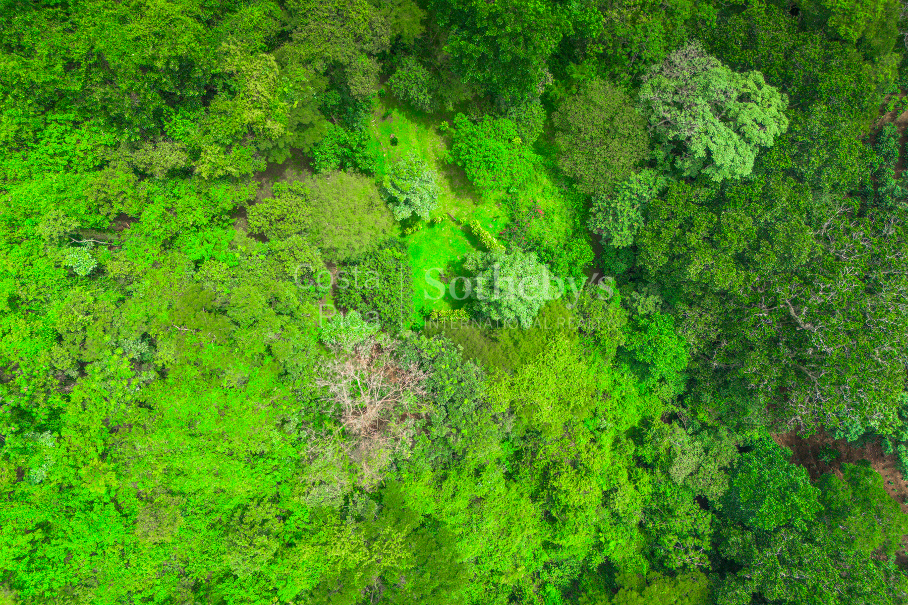  Atenas Highlands Eco Estate - 物件實景