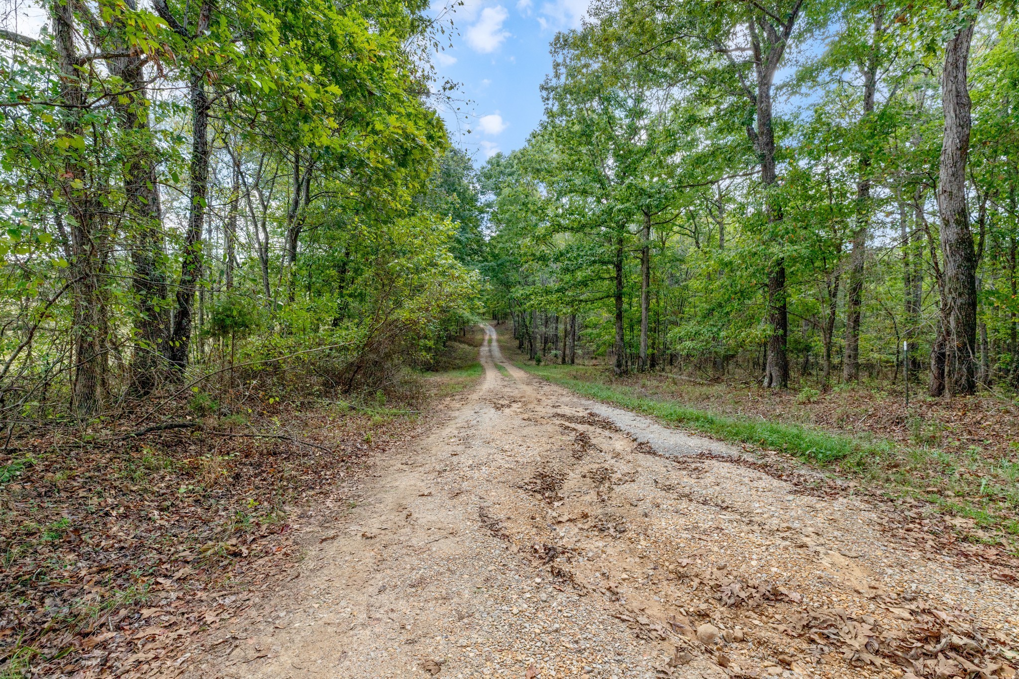 Mc Ewen, Tennessee, 37101, United States, ,Residential,For Sale,1923664