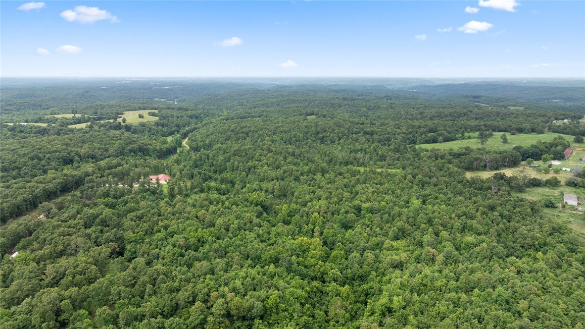 Noel, Missouri, 64854, United States, ,Land,For Sale,1785483