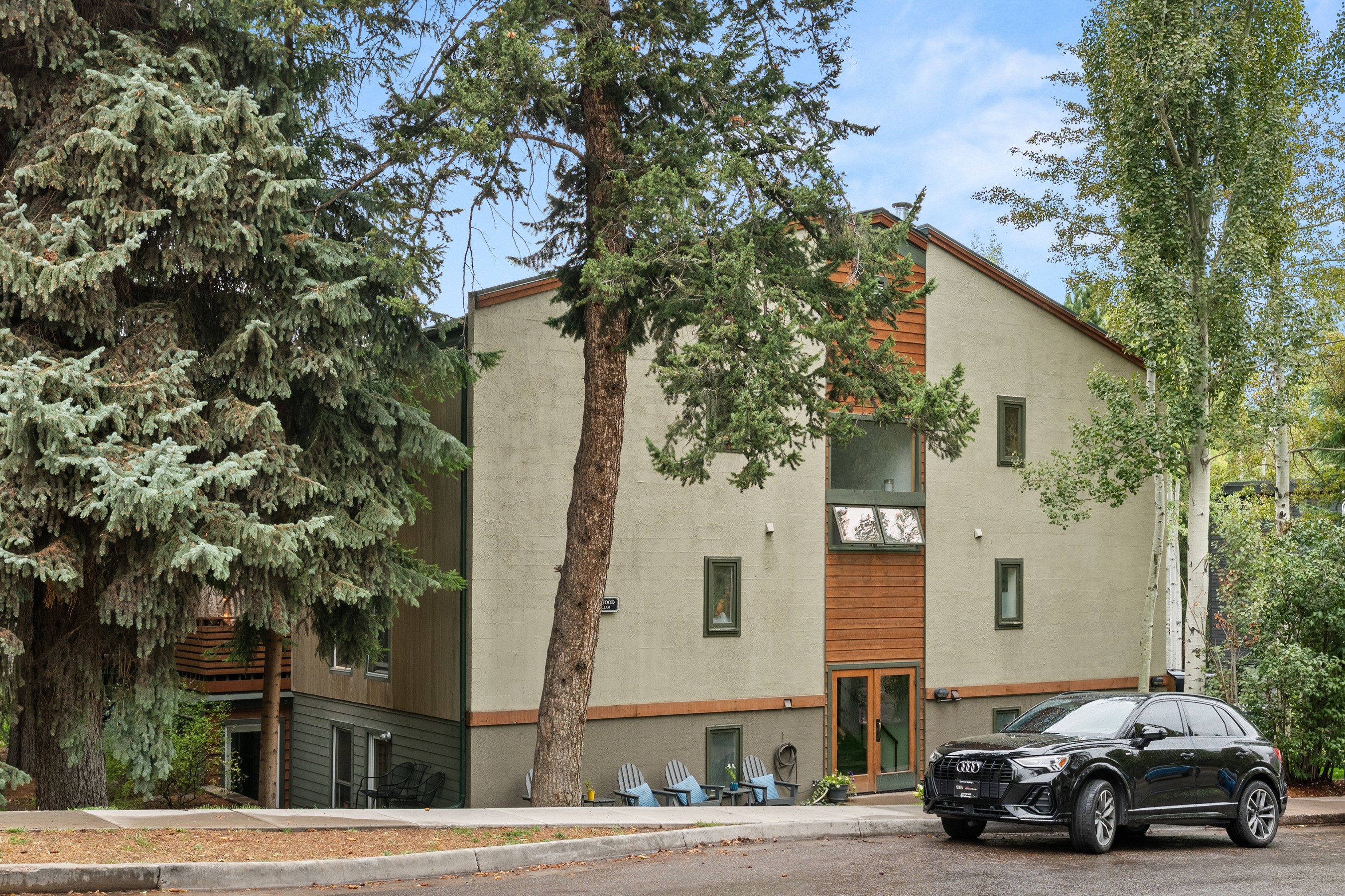  910 W Hallam Street, Aspen, CO, 81611 - 物件實景