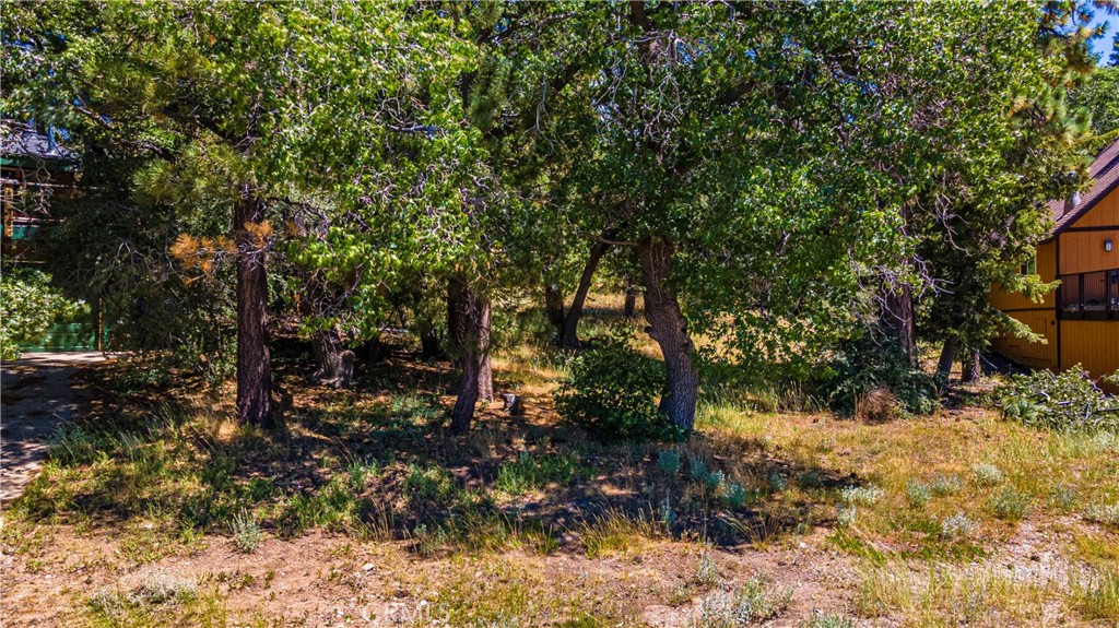 BIG BEAR CITY, California, 92315, United States, ,Land,For Sale,1754102