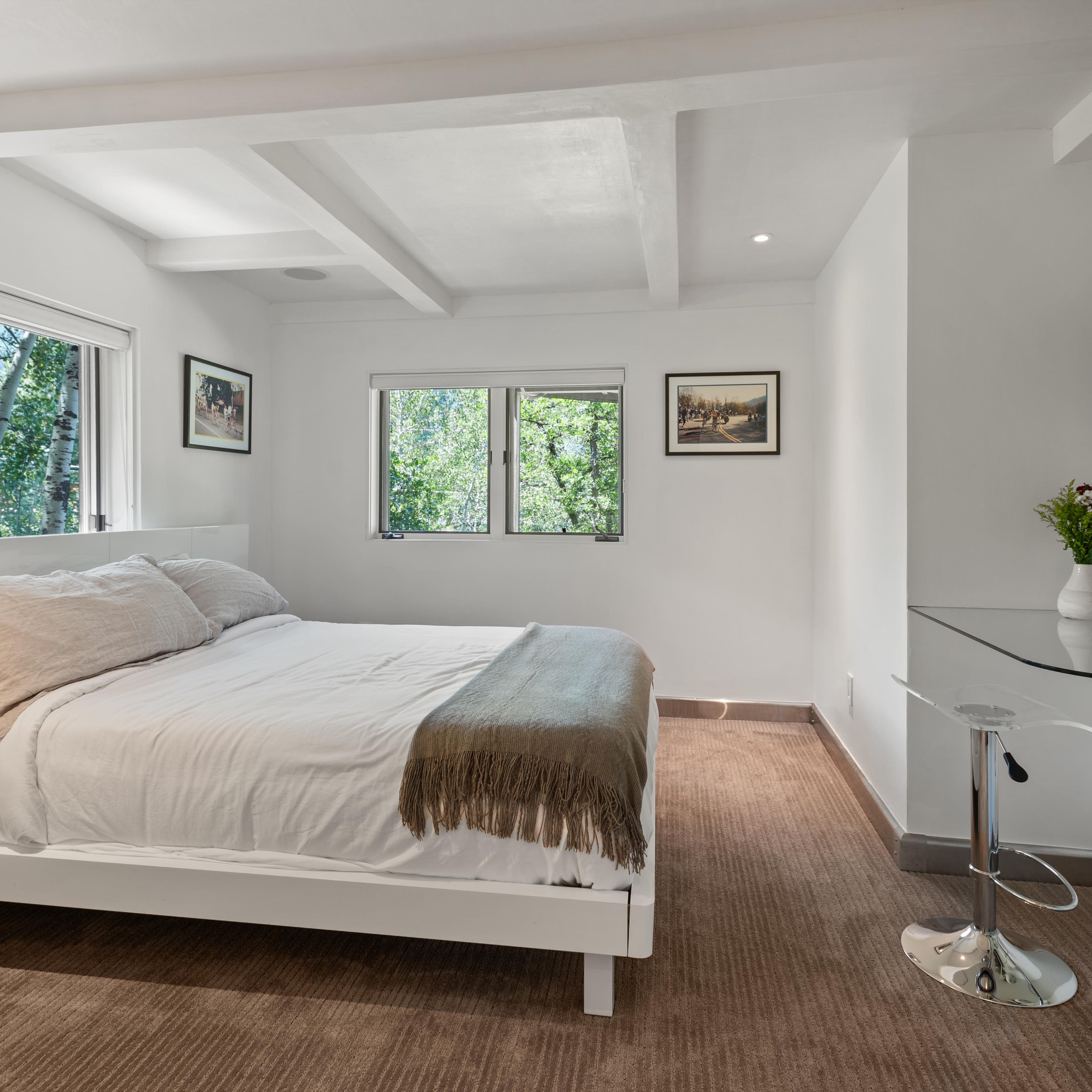  257 Mountain Laurel Drive, Aspen, CO, 81611 - 物件實景