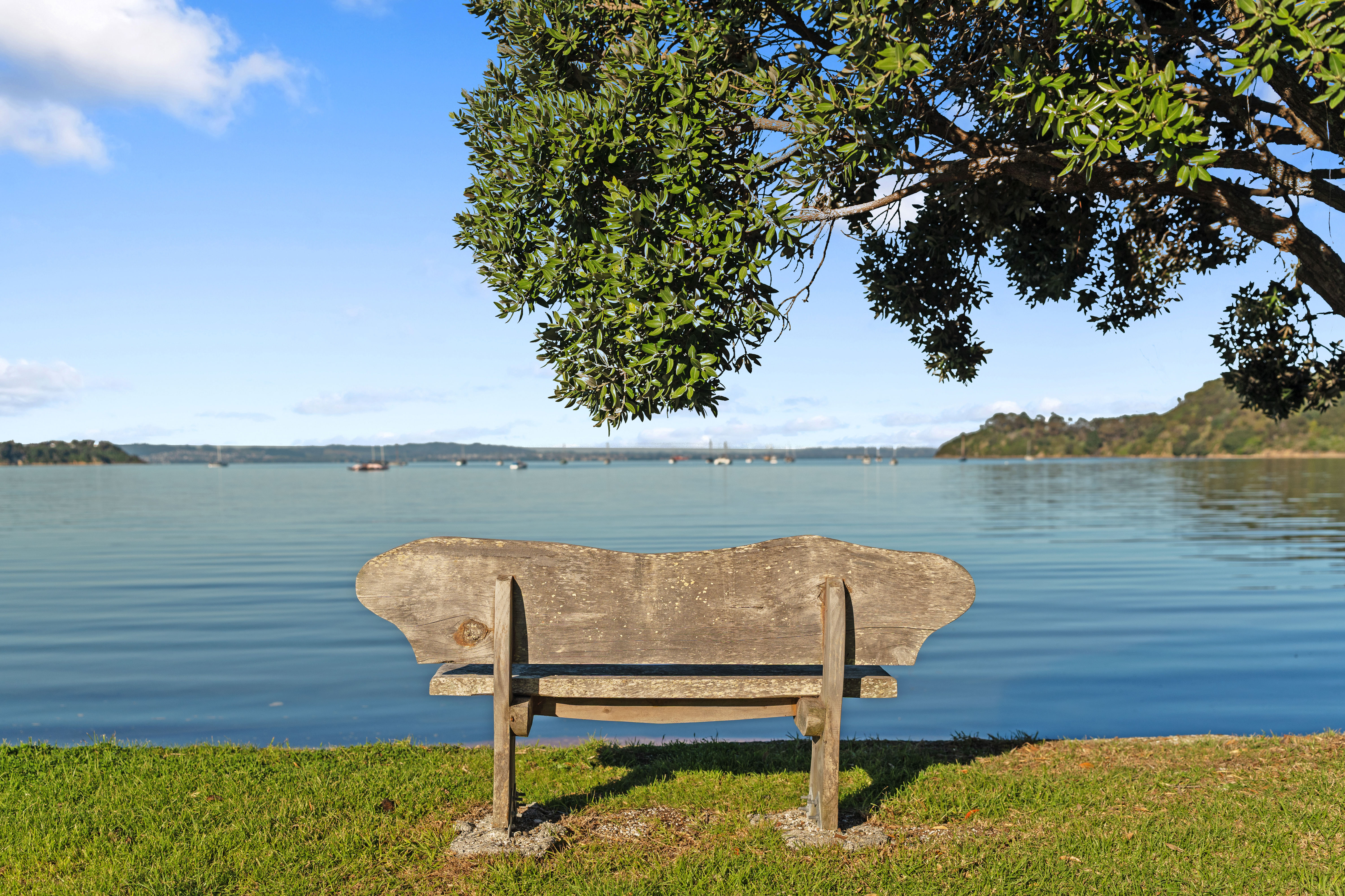  12 The Esplanade, Oneroa, Waiheke Island - 物件實景