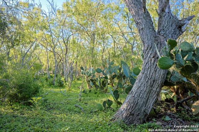 Beeville, Texas, 78102, United States, ,Land,For Sale,1942121
