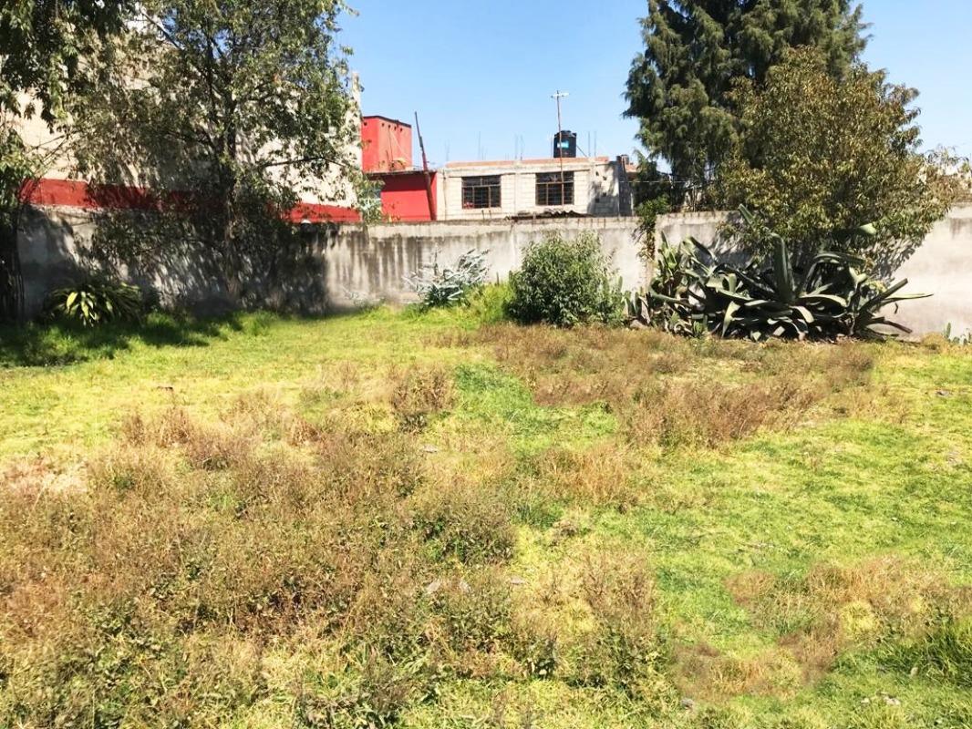 BENITO JUAREZ, Toluca, Estado de México, 50226, Mexico, 1 Bedroom Bedrooms, ,Residential,For Sale,BENITO JUAREZ,1441377