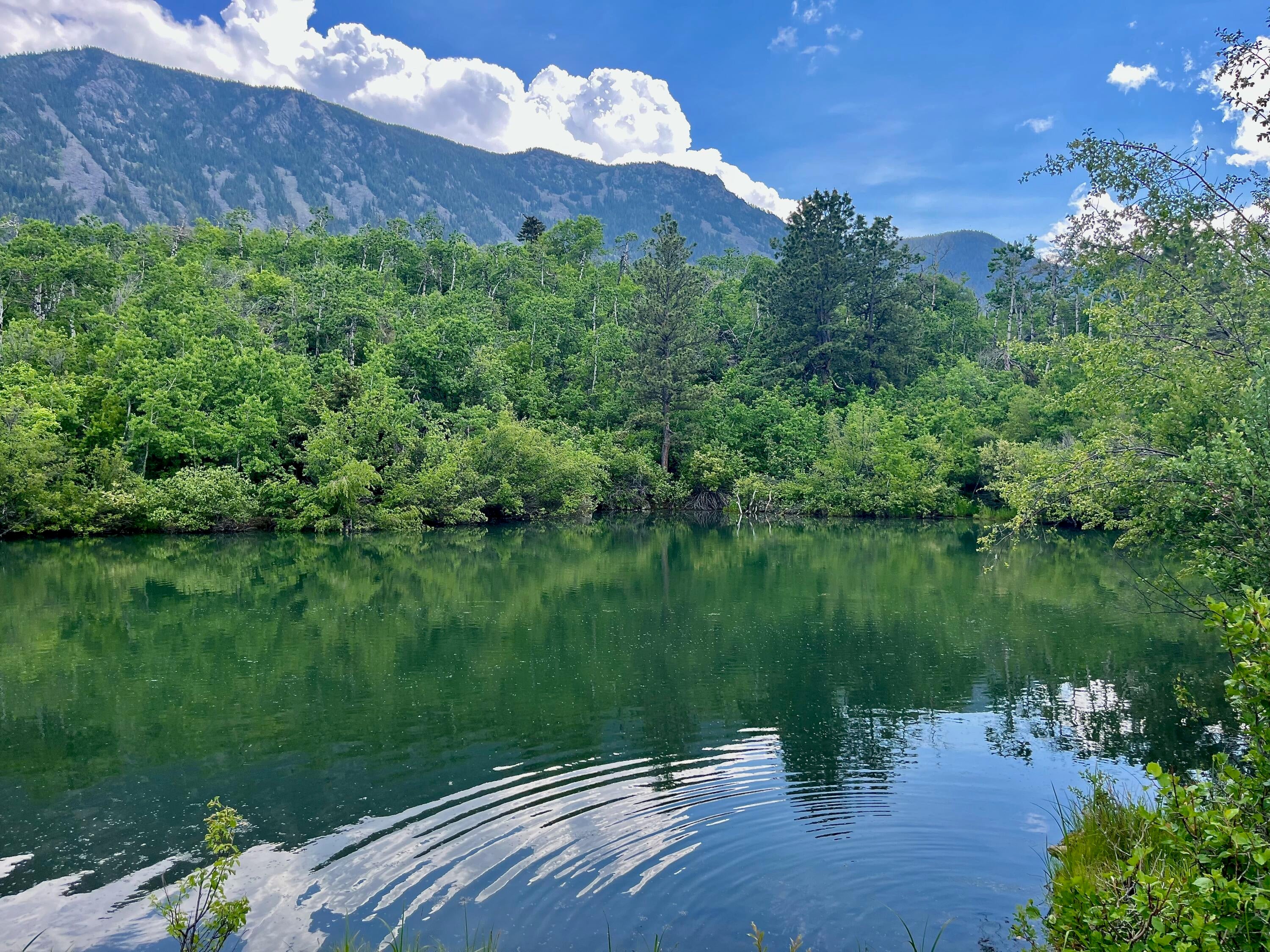 Big Horn, Wyoming, 82833, United States, 3 Bedrooms Bedrooms, ,4 BathroomsBathrooms,Residential,For Sale,2011301