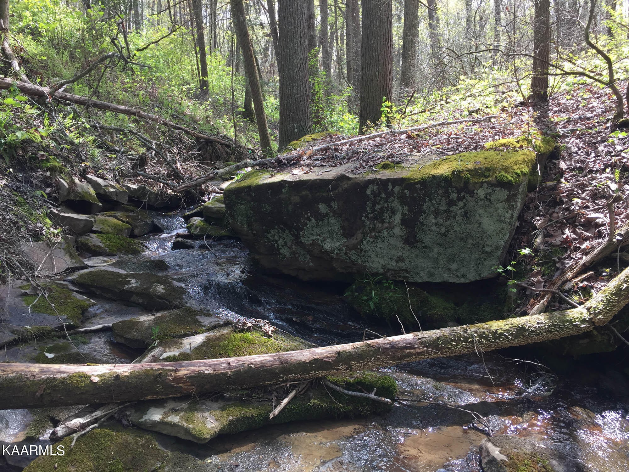 Pikeville, Tennessee, 37367, United States, ,Residential,For Sale,1943070