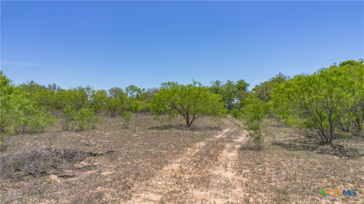 Seguin, Texas, 78155, United States, ,Land,For Sale,2048834