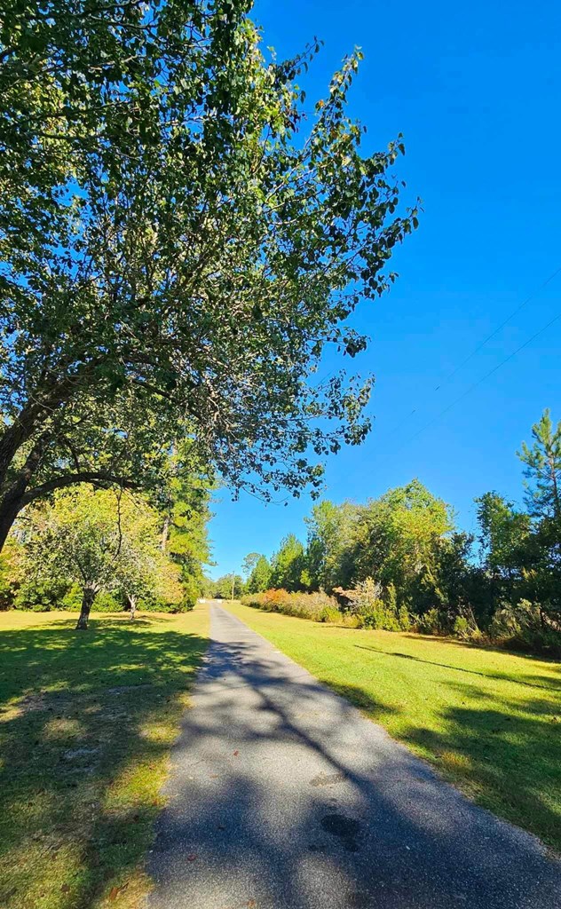 5278 NE Elim Church Road Ne Road, Ludowici, Georgia, 31316, United States, 3 Bedrooms Bedrooms, ,2 BathroomsBathrooms,Residential,For Sale,5278 NE Elim Church Road Ne Road,1437237
