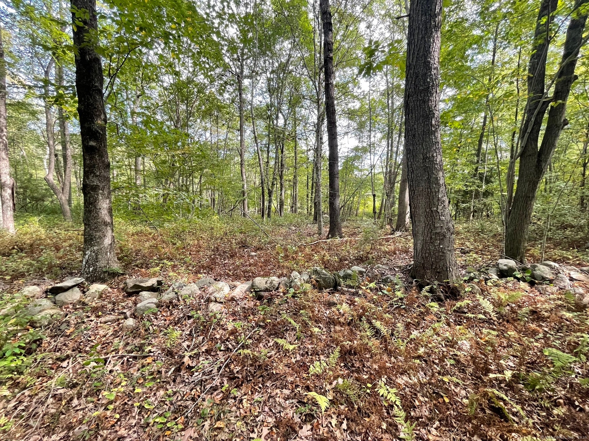 Old Lyme, Connecticut, 06371, United States, ,Land,For Sale,1979689