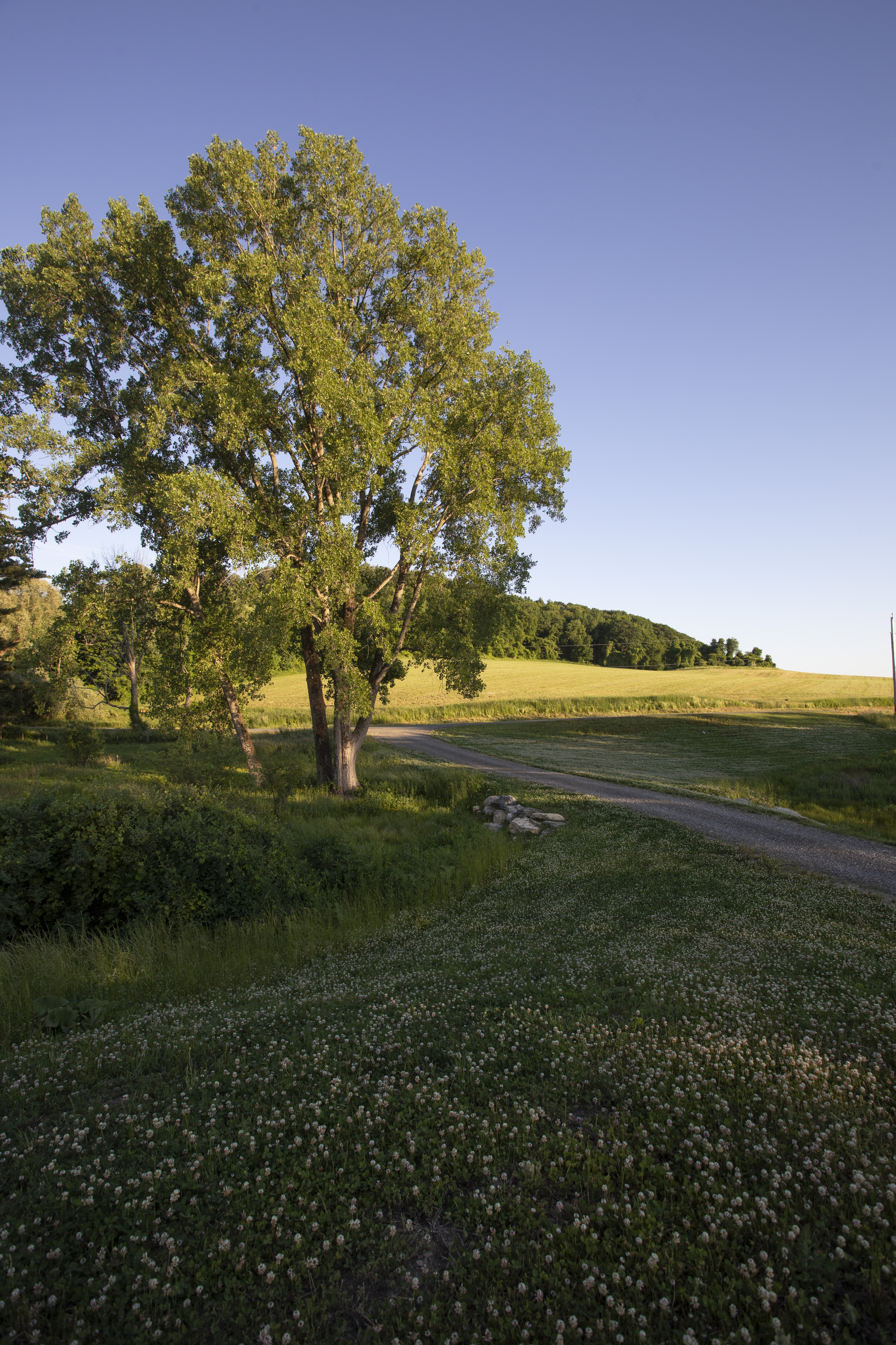  110 Mansfield Road, Hillsdale, NY 12529 - 物件實景