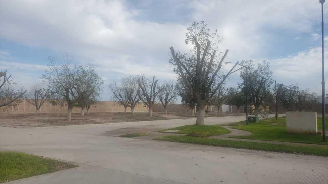 RANCHO LA BARRANCA, Torreón, Coahuila de Zaragoza, 27405, Mexico, 1 Bedroom Bedrooms, ,Residential,For Sale,RANCHO LA BARRANCA,1235712
