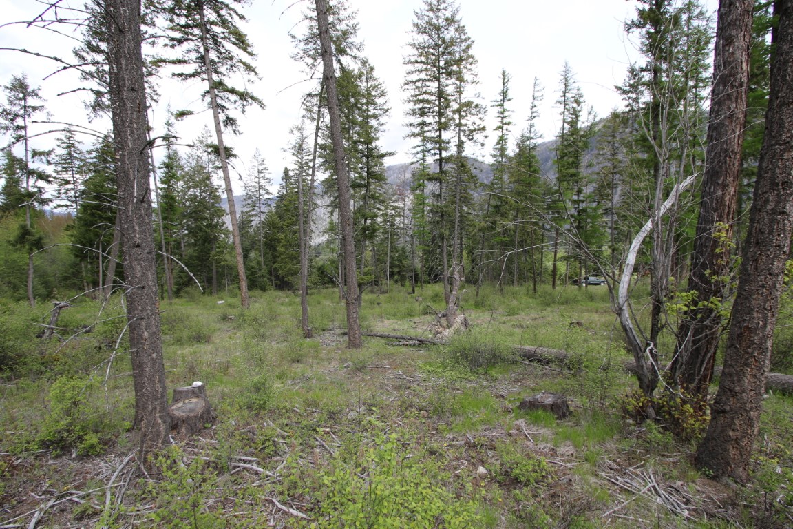 Plains, Montana, 59859, United States, ,Residential,For Sale,1921183