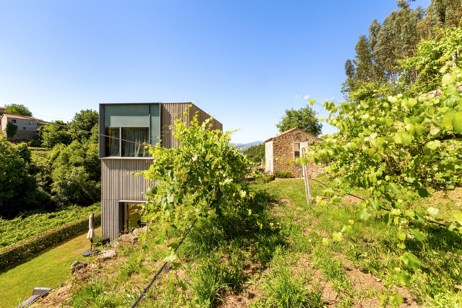  Farm, 5 bedrooms, for Sale - 物件實景