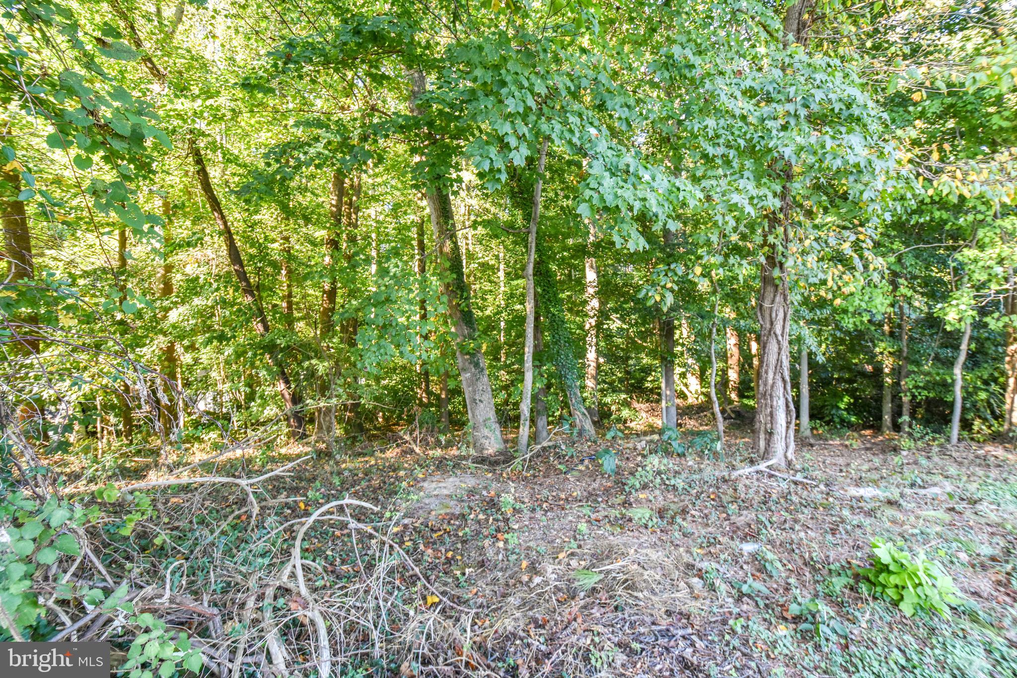 Saint Leonard, Maryland, 20685, United States, 3 Bedrooms Bedrooms, ,3 BathroomsBathrooms,Residential,For Sale,2007509