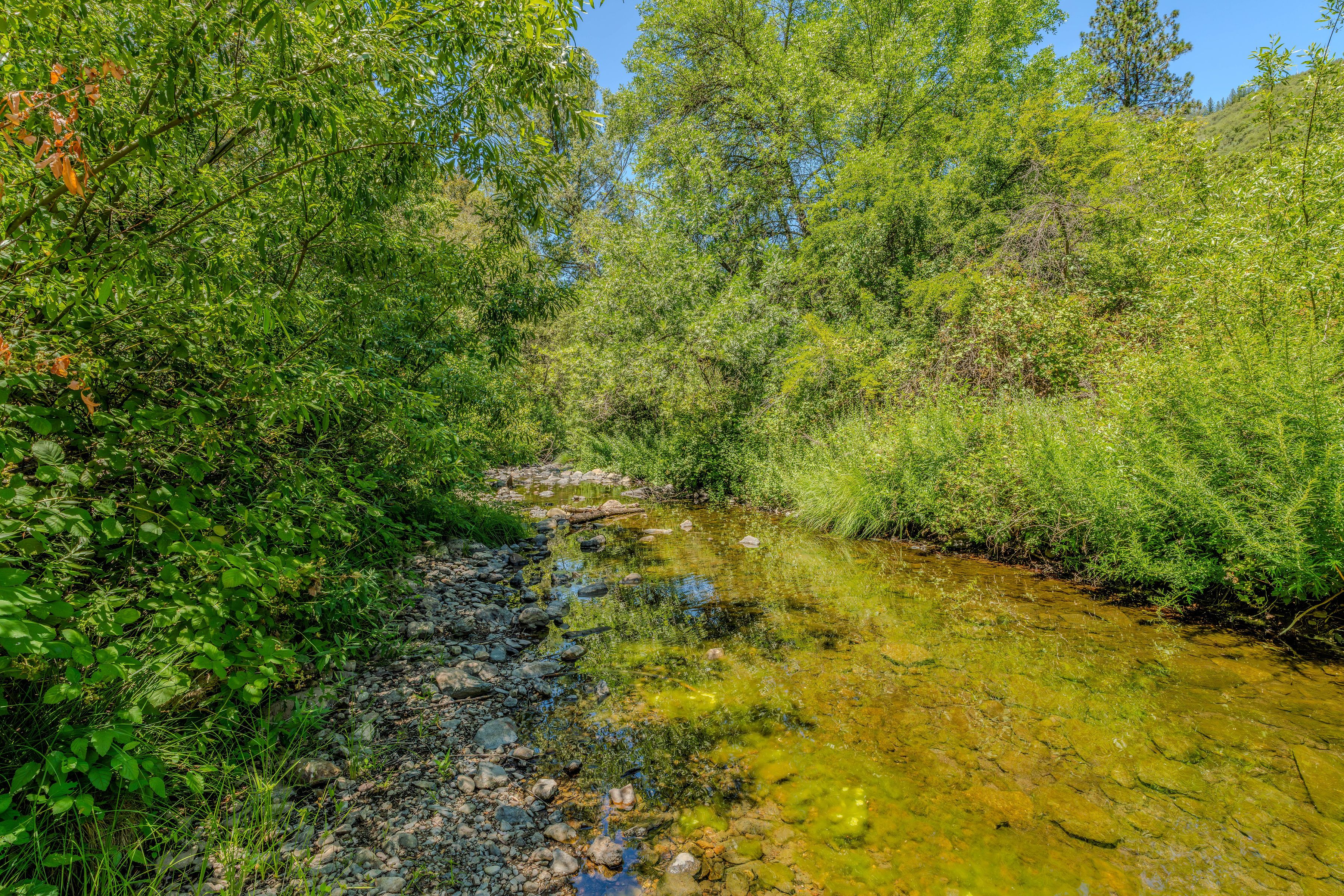  16000 Sutter Creek Road, Sutter Creek, CA 95685 - 物件實景